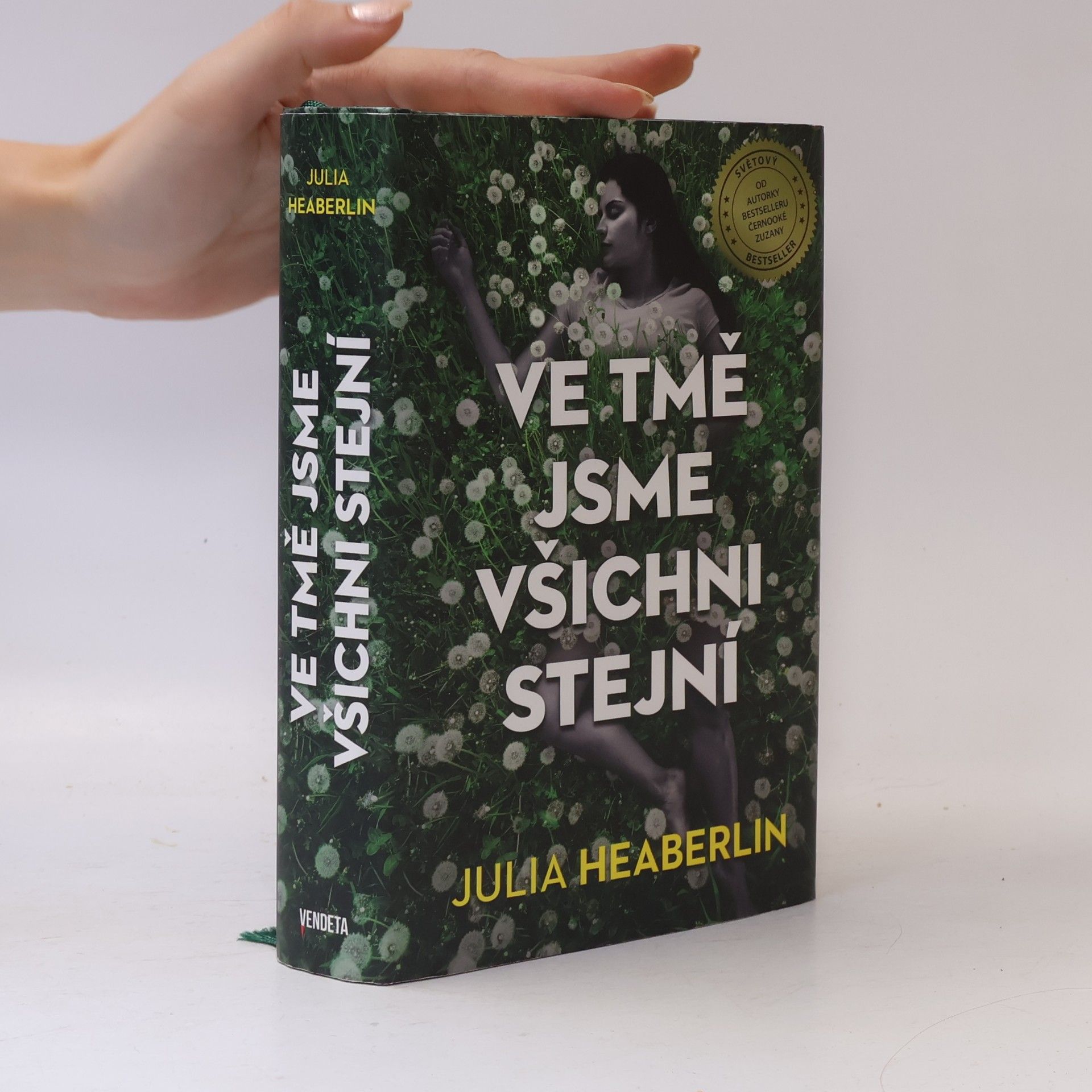 Julia Heaberlin Ve tmě jsme všichni stejní
