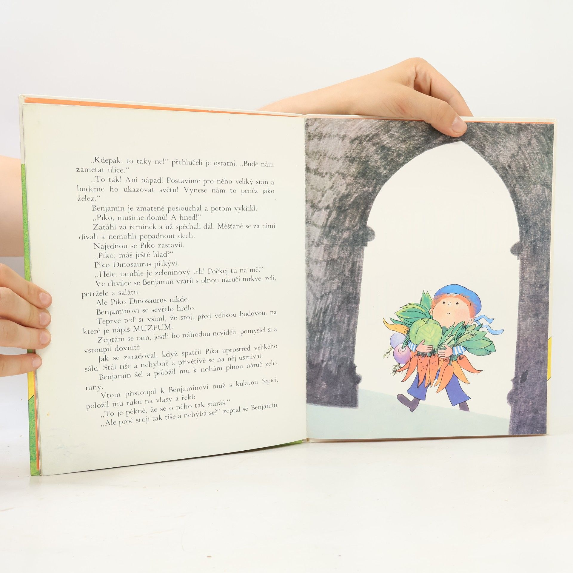 Kateřina Literová Benhartová Piko Dinosaurus