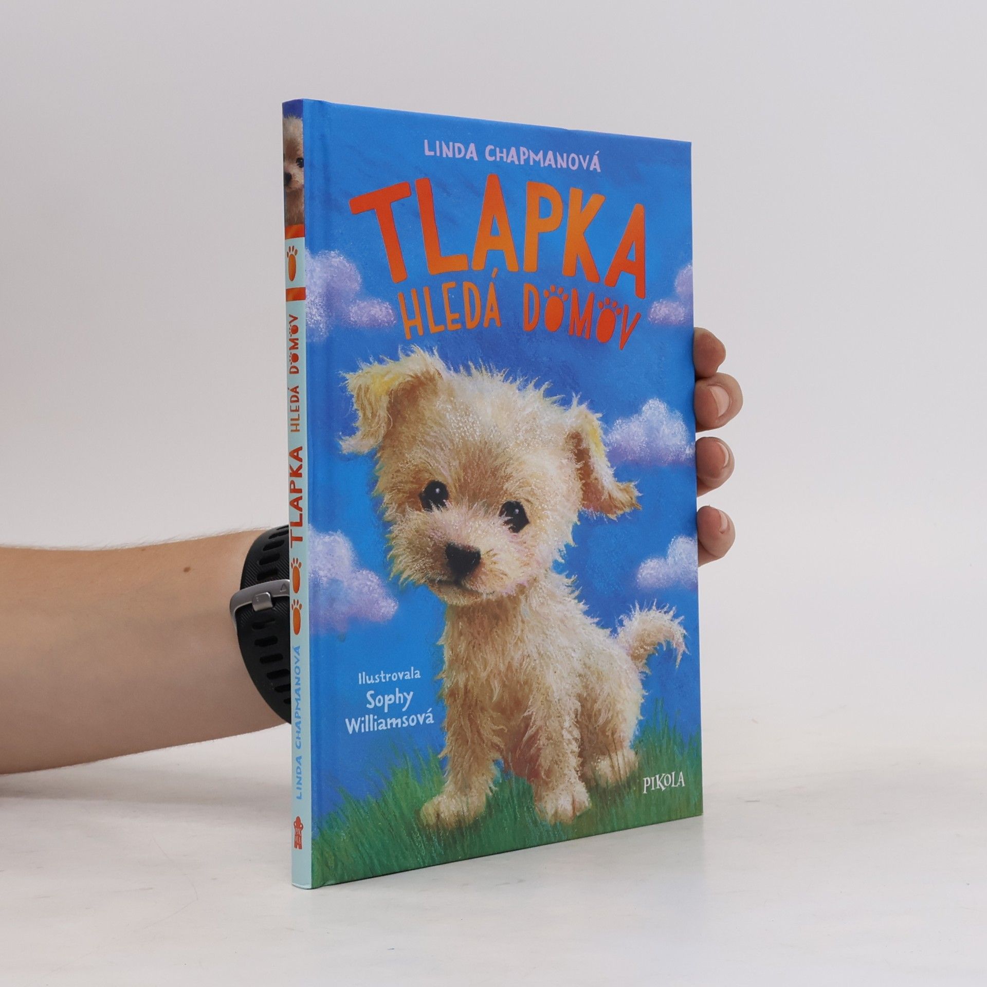 Linda Chapman Tlapka hledá domov