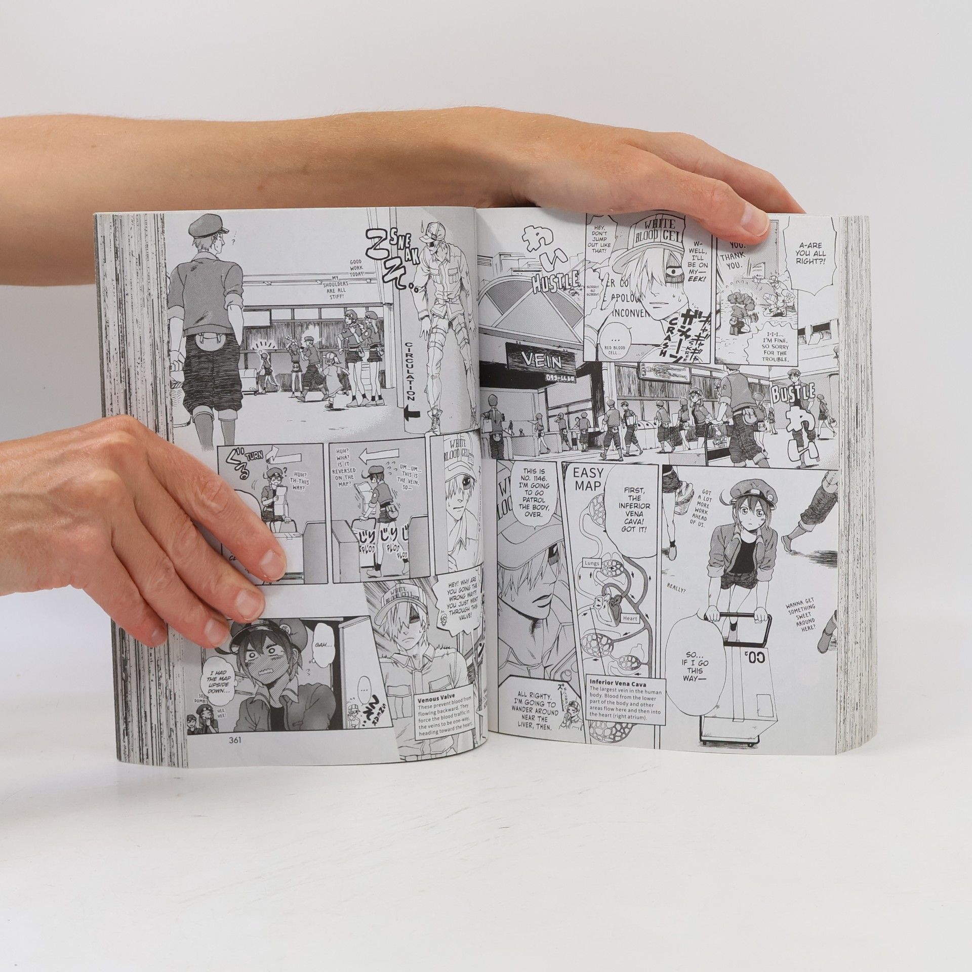 Akane Shimizu Cells at Work! Omnibus 1 (Vols. 1-3)