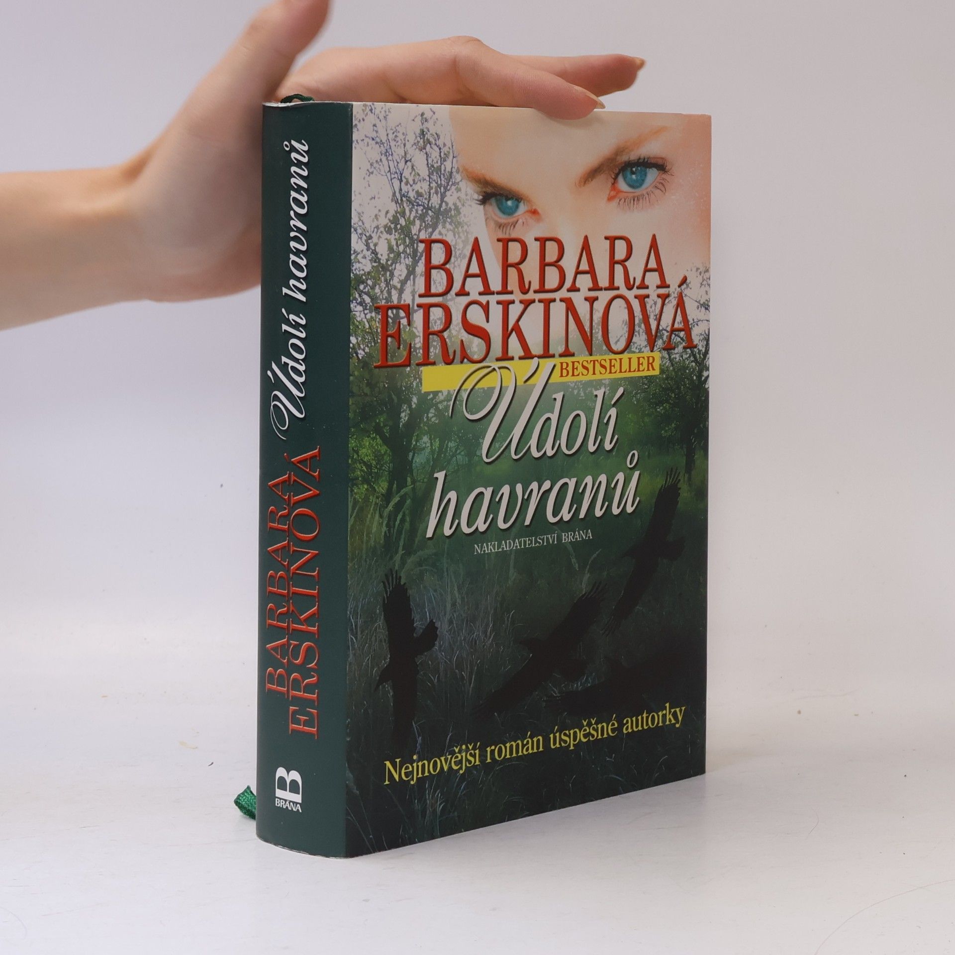 Barbara Erskine Údolí havranů