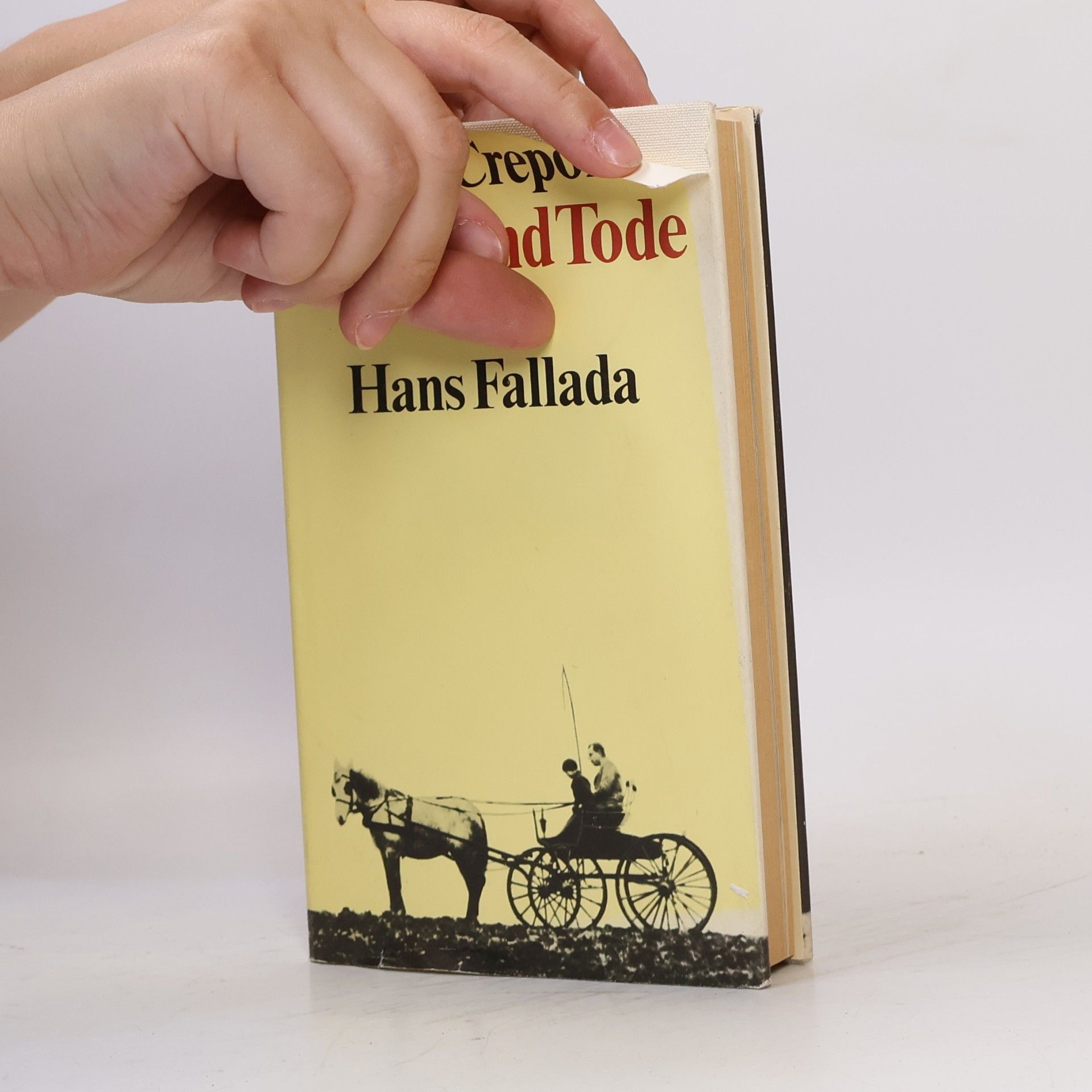 Tom Crepon Leben und Tode des Hans Fallada