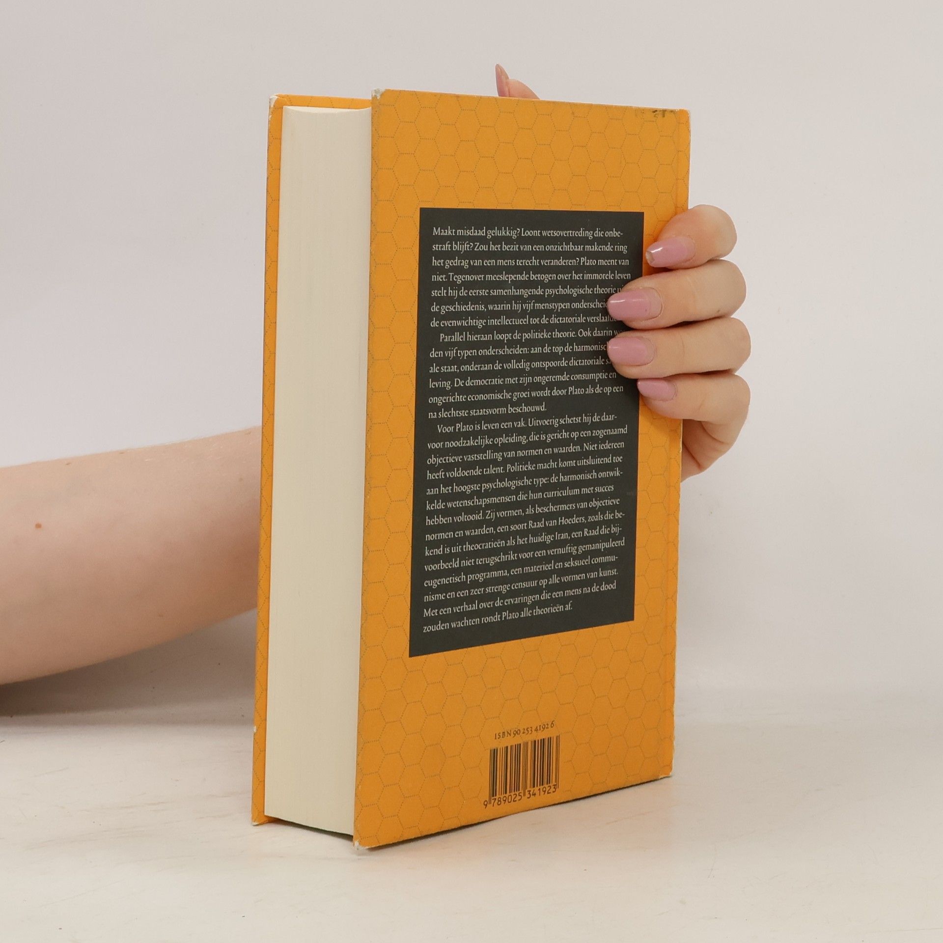 Plato De Ideale Staat / Druk 8: Politeia