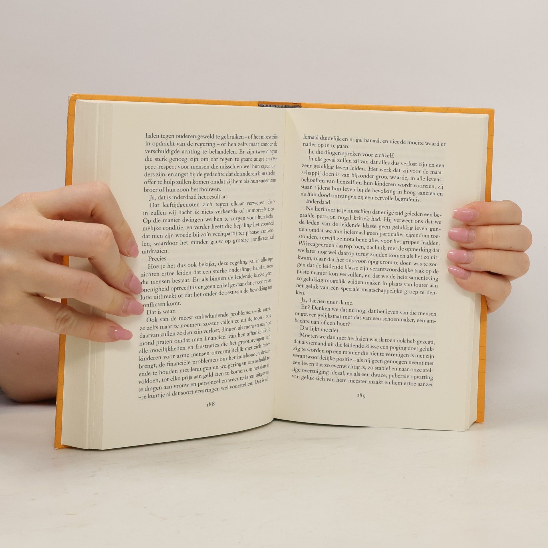 Plato De Ideale Staat / Druk 8: Politeia