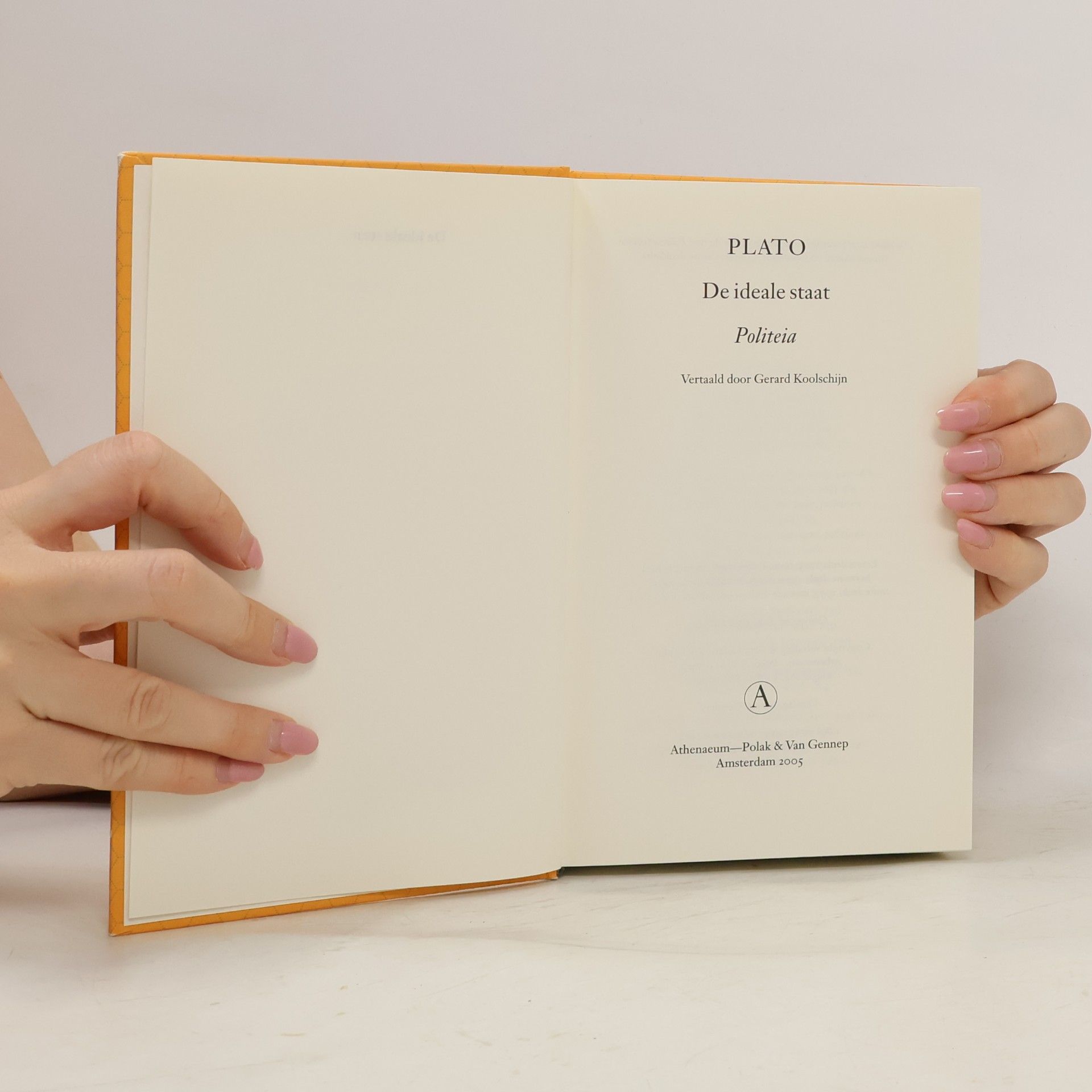 Plato De Ideale Staat / Druk 8: Politeia