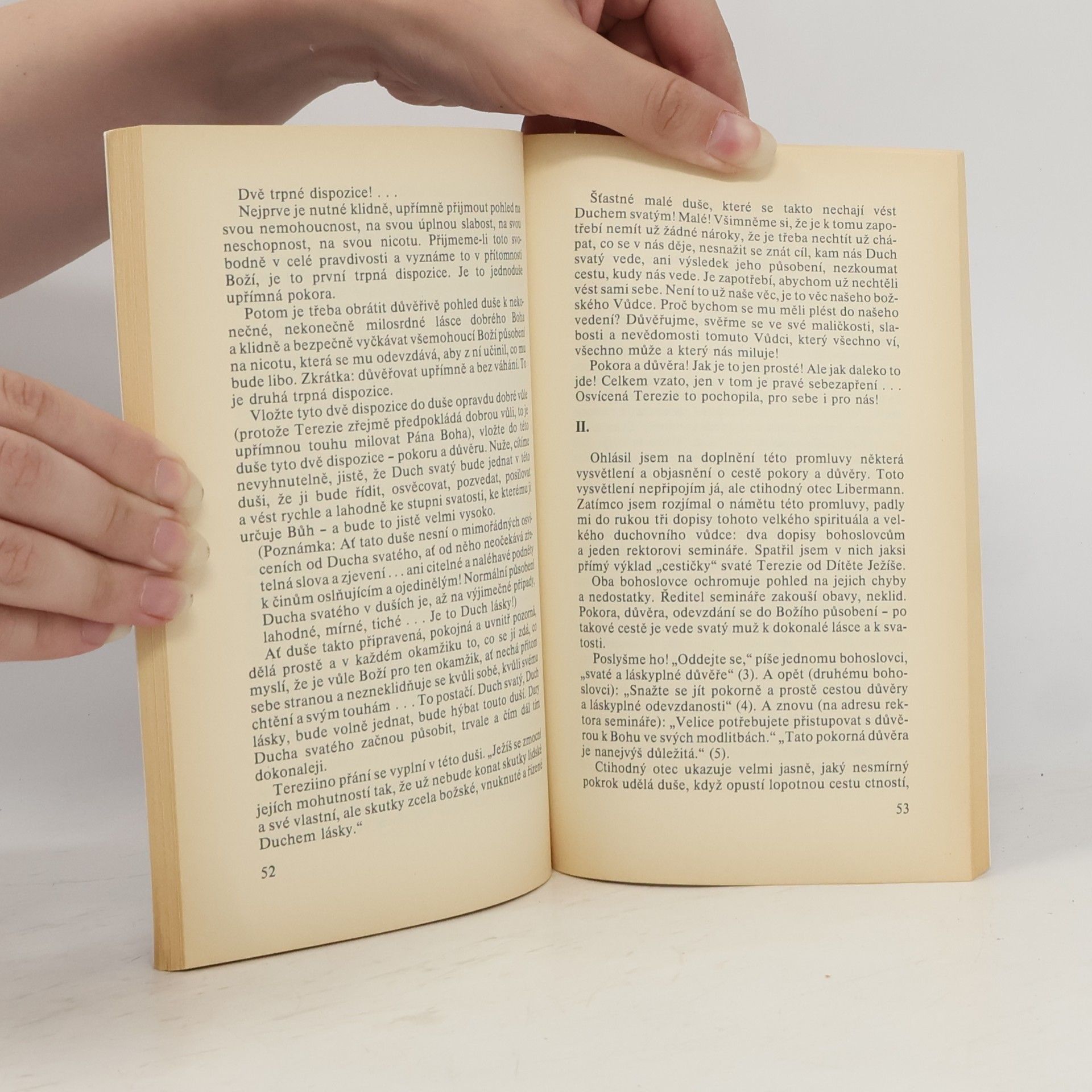 Louis Liagre Duchovní cvičení se svatou Terezií z Lisieux