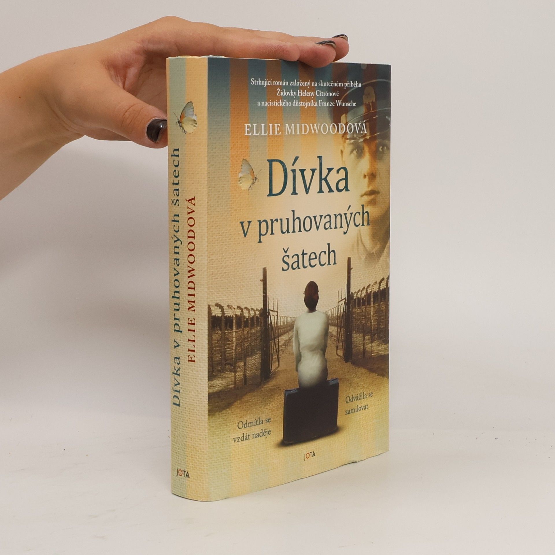 Ellie Midwood Dívka v pruhovaných šatech