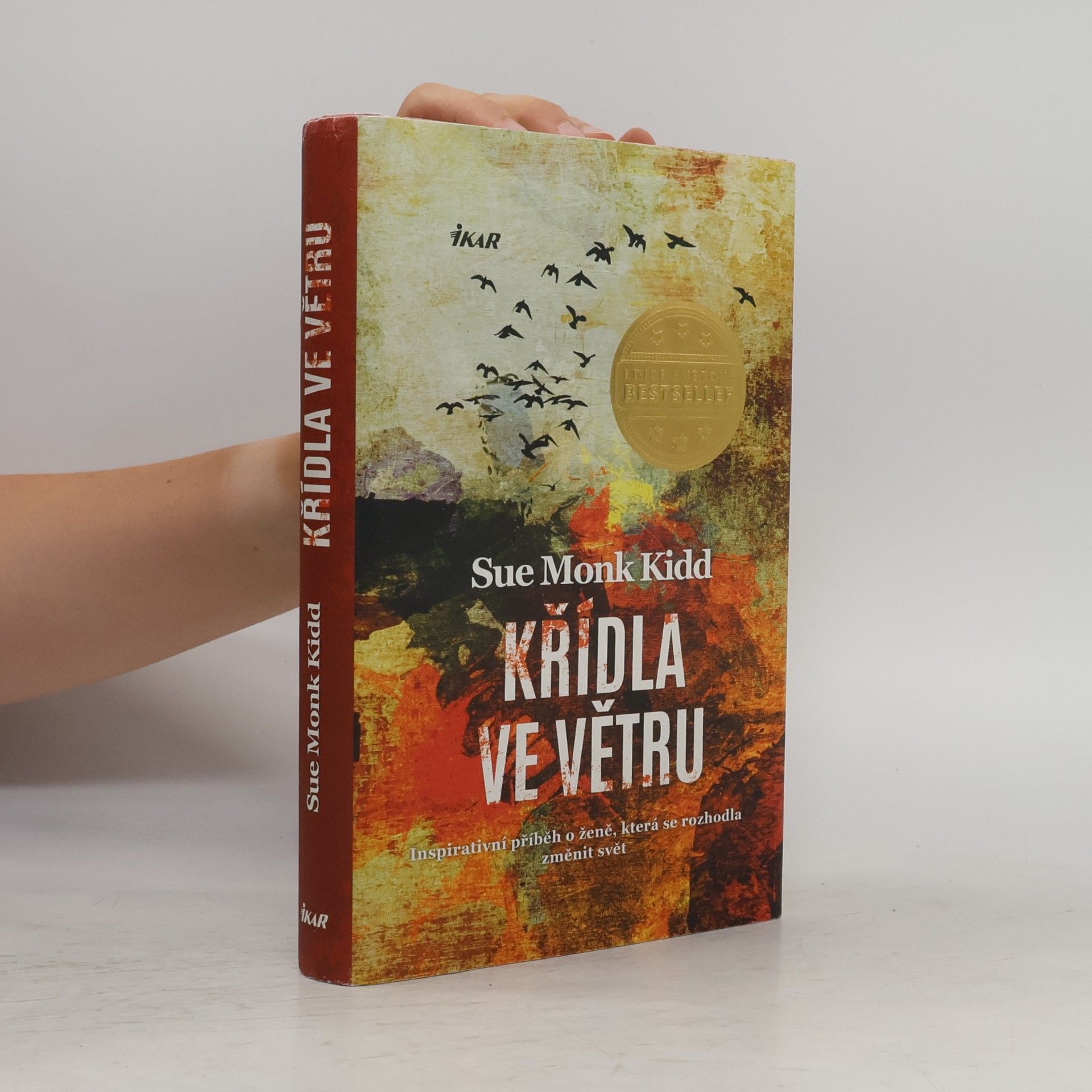 Sue Monk Kidd Křídla ve větru