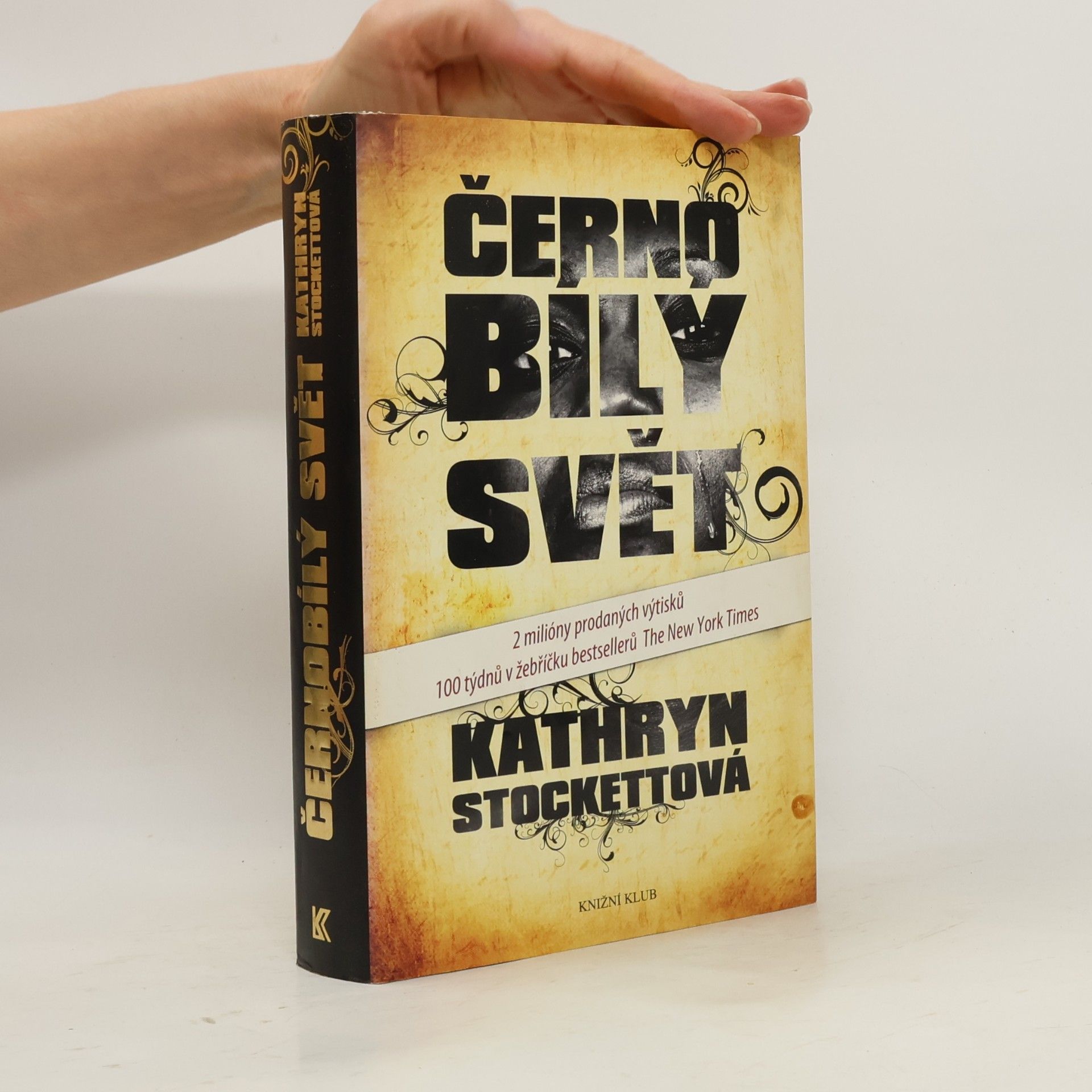 Kathryn Stockett Černobílý svět