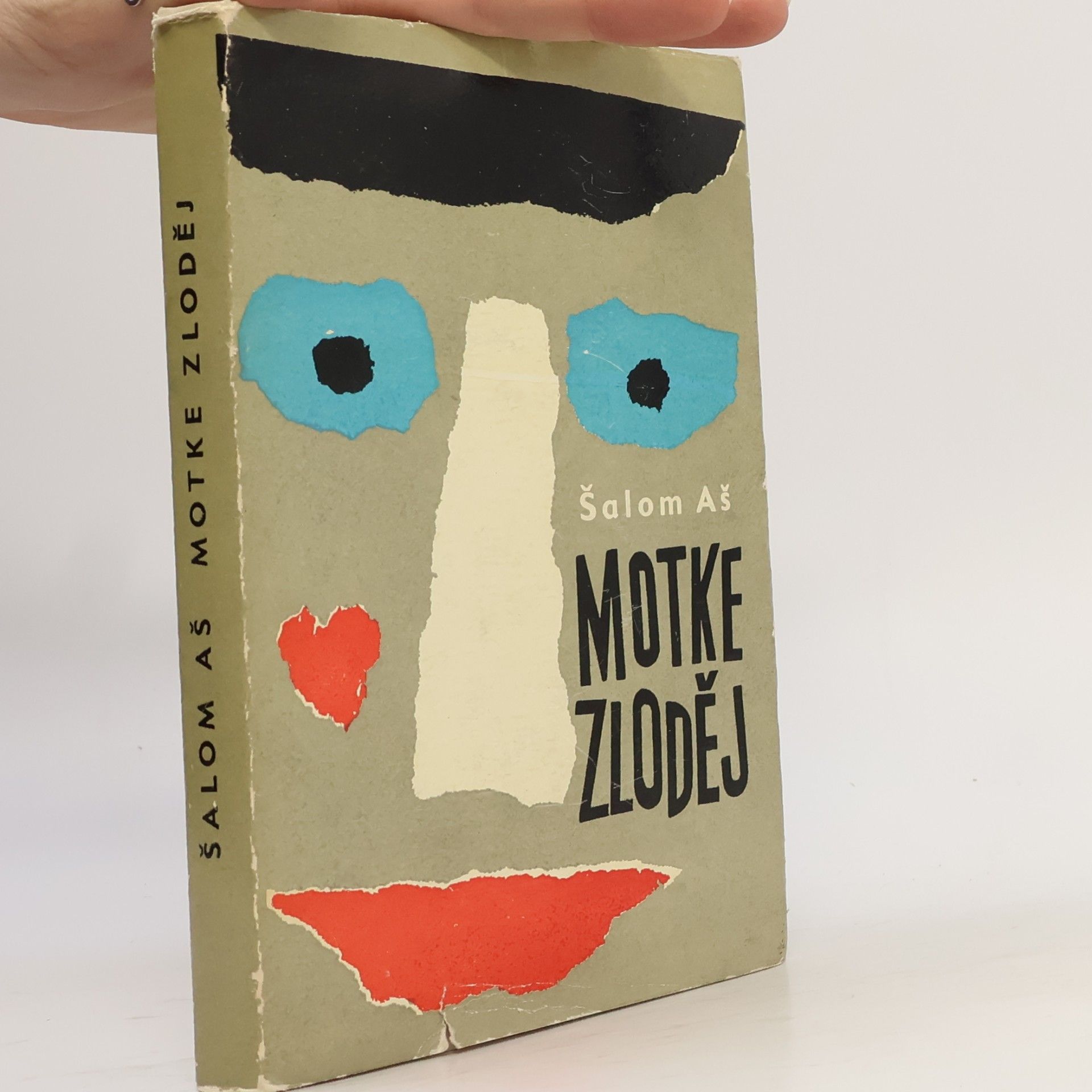 Motke zloděj