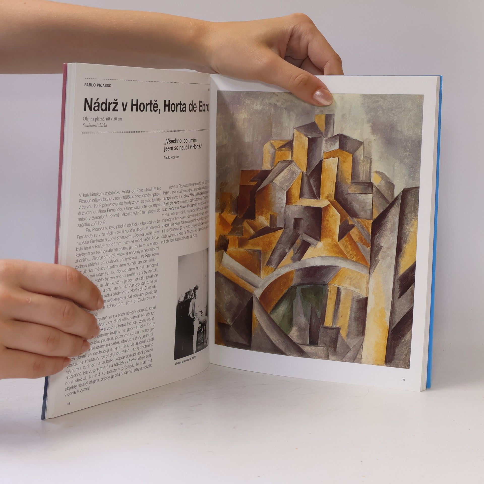 Anne Ganteführer-Trier Kubismus