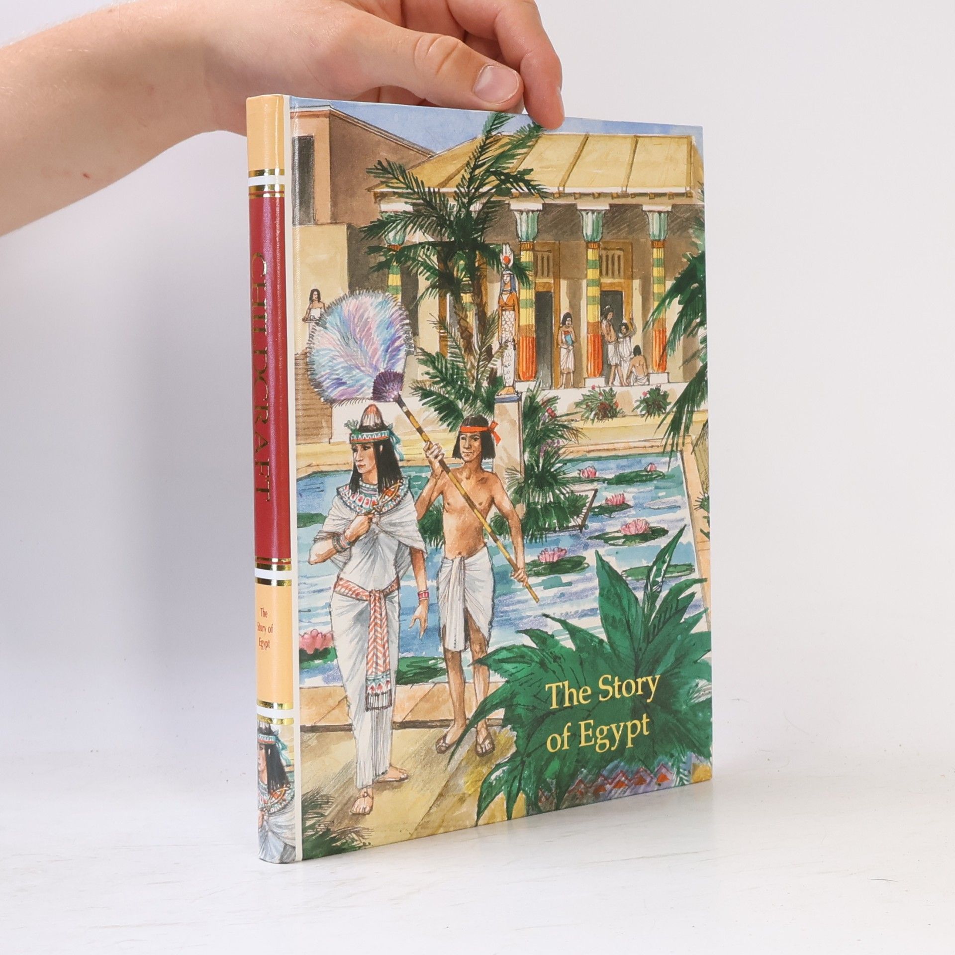 Kolektiv autorů The Story of Egypt