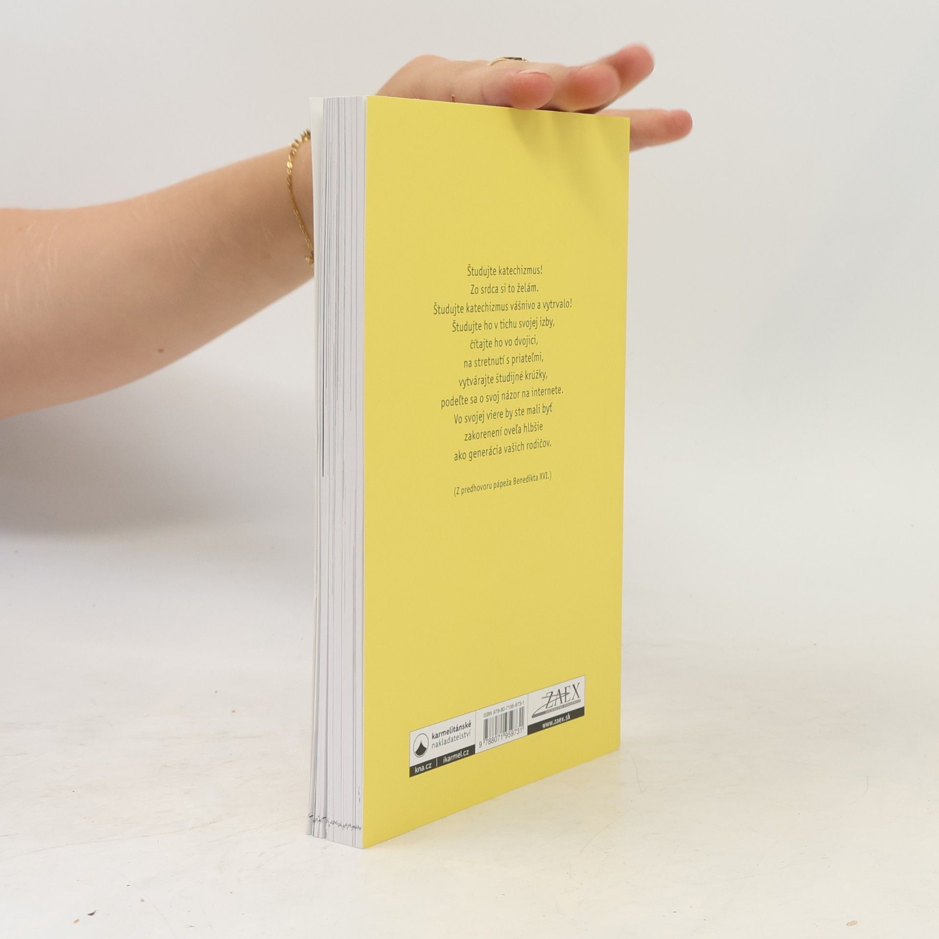 Various authors Youcat po slovensky : Katechizmus Katolíckej cirkvi pre mladých