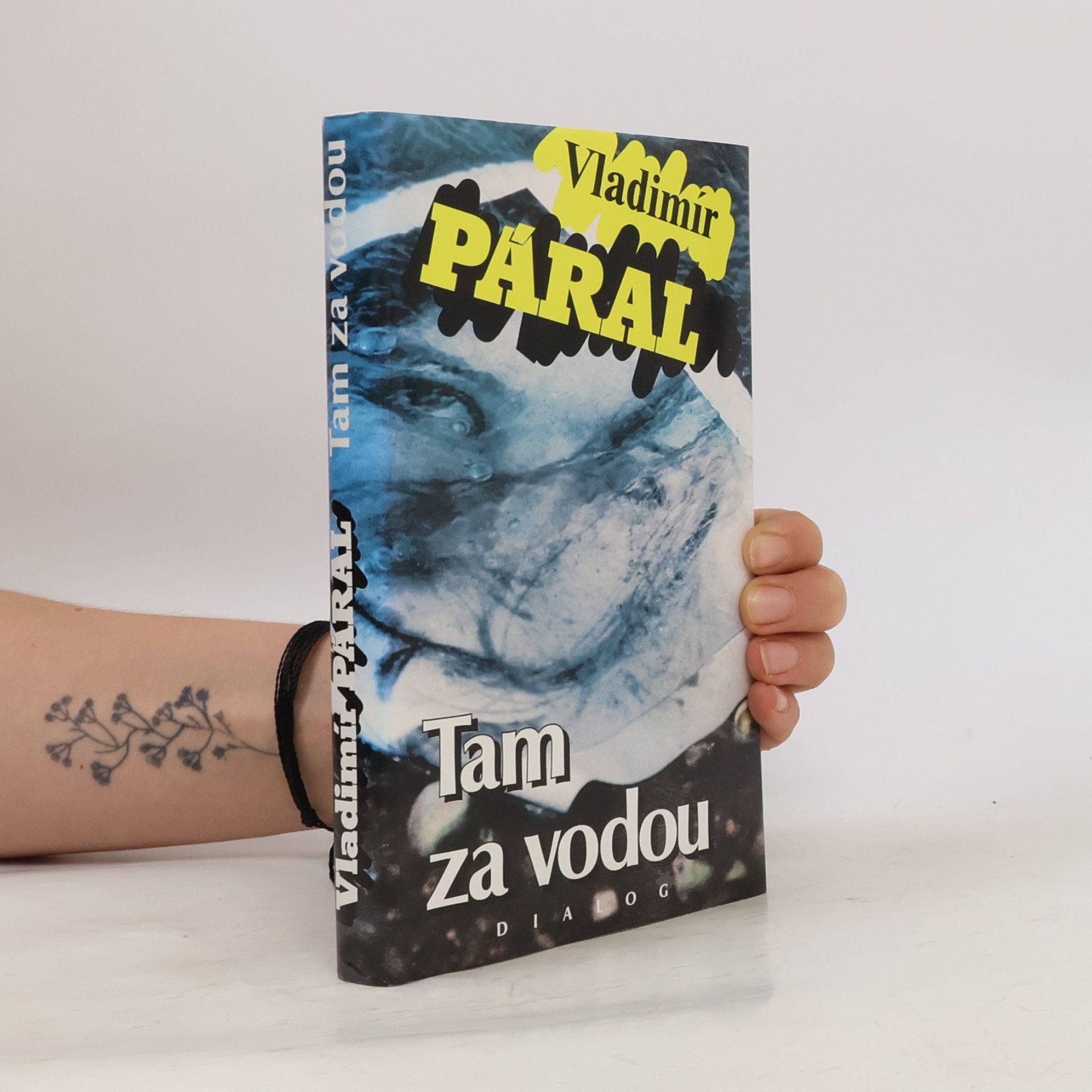 Vladimír Páral Tam za vodou