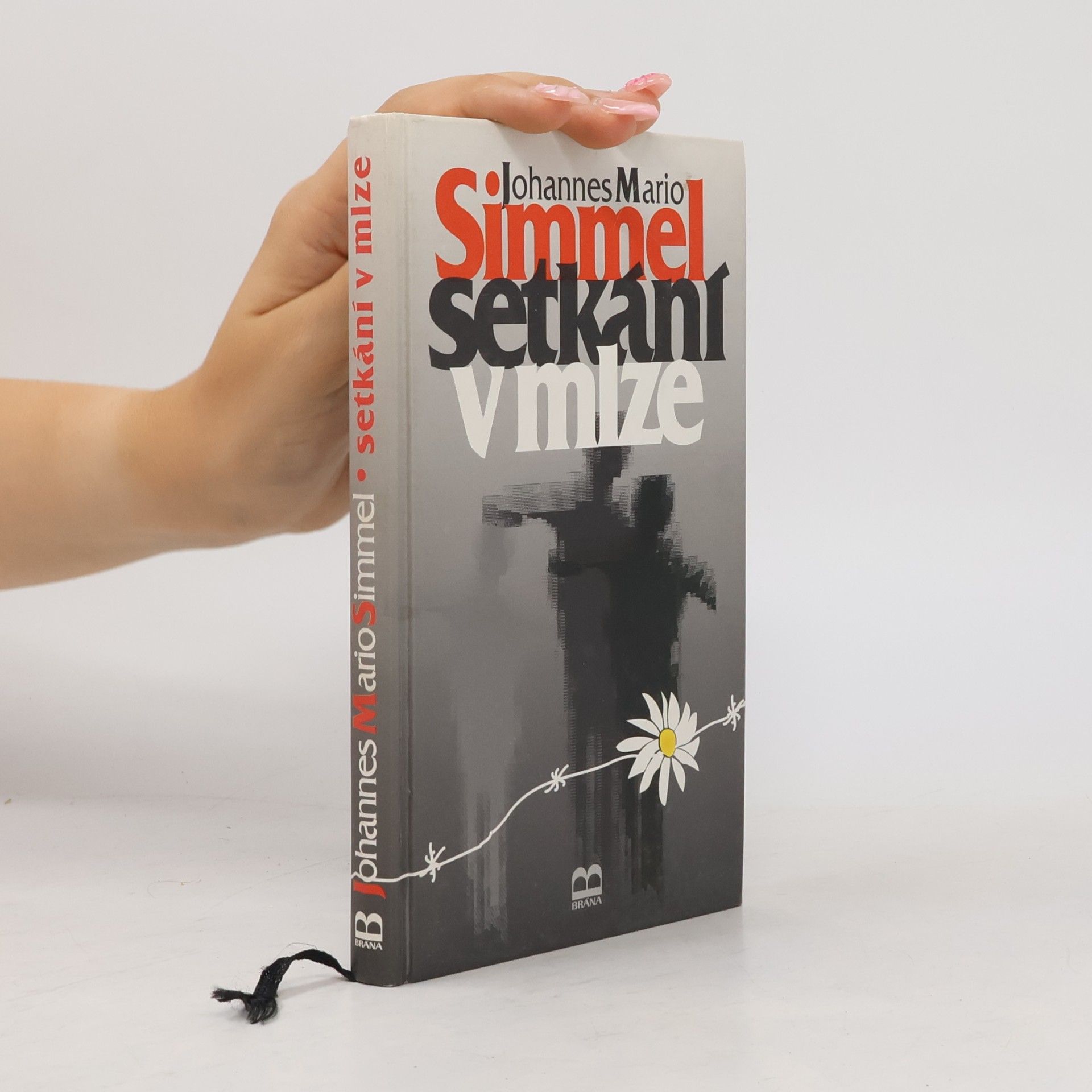 Johannes Mario Simmel Setkání v mlze