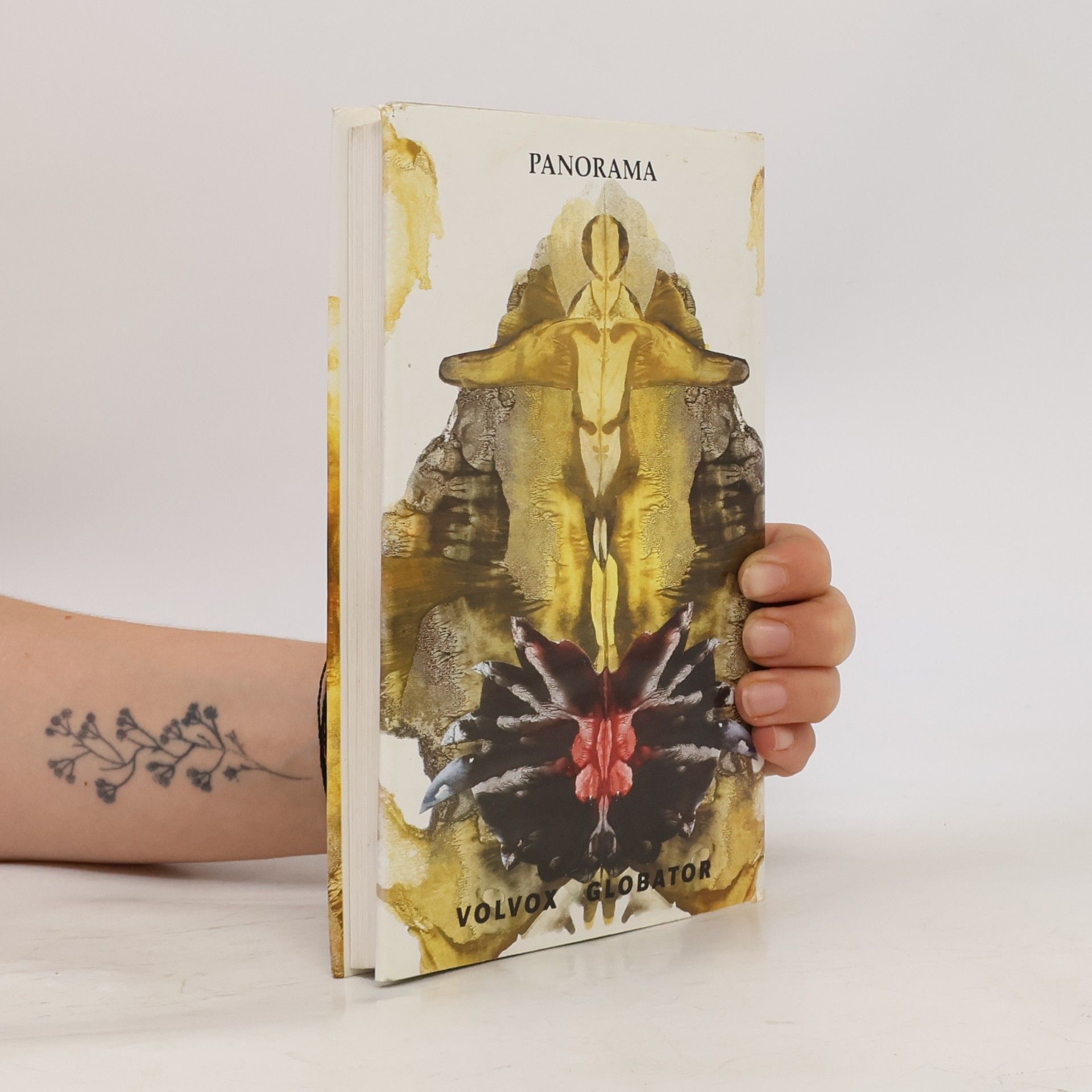 Carlos Castaneda Oddělená skutečnost