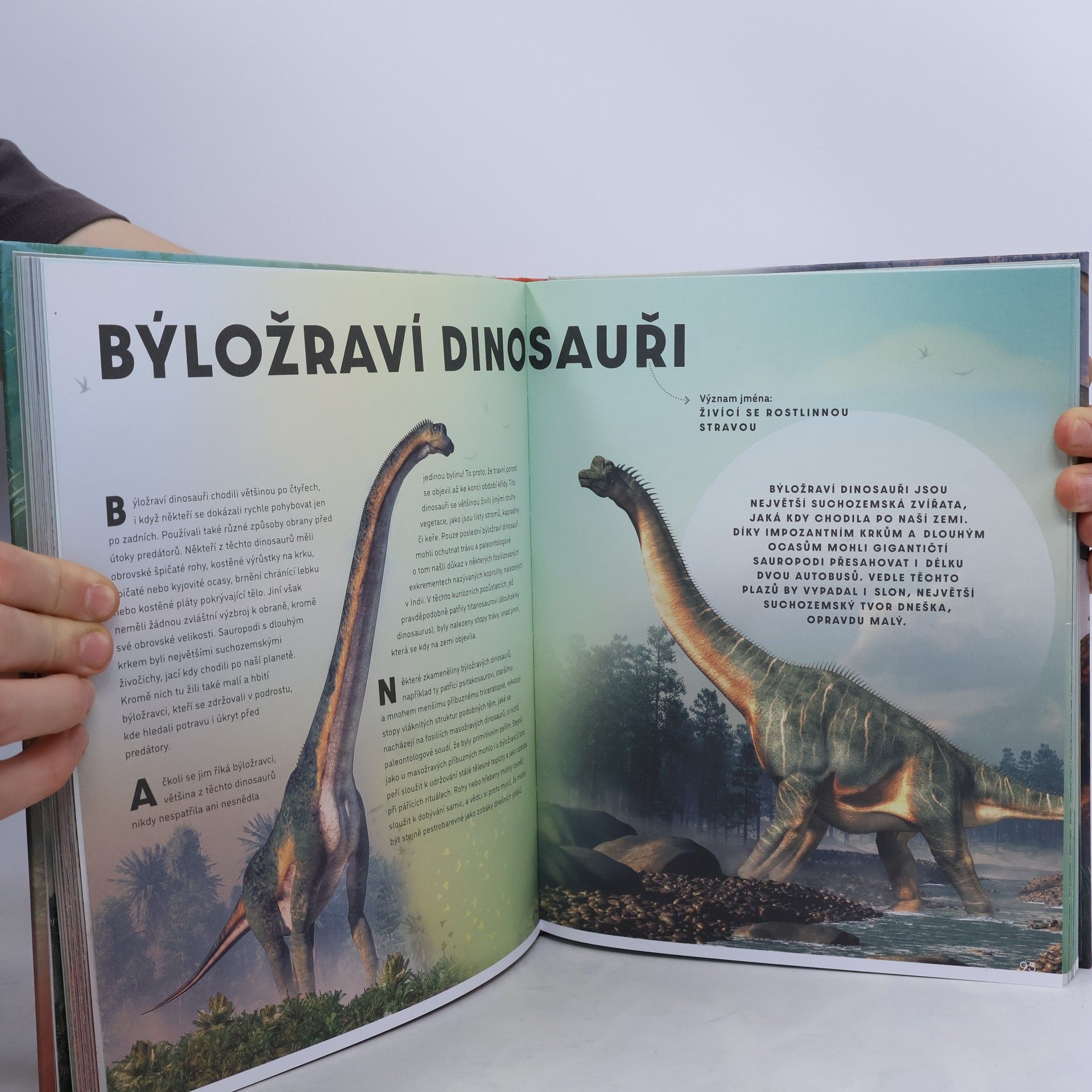 Cristina M. Banfi Velký obrazový průvodce SVĚTEM DINOSAURŮ