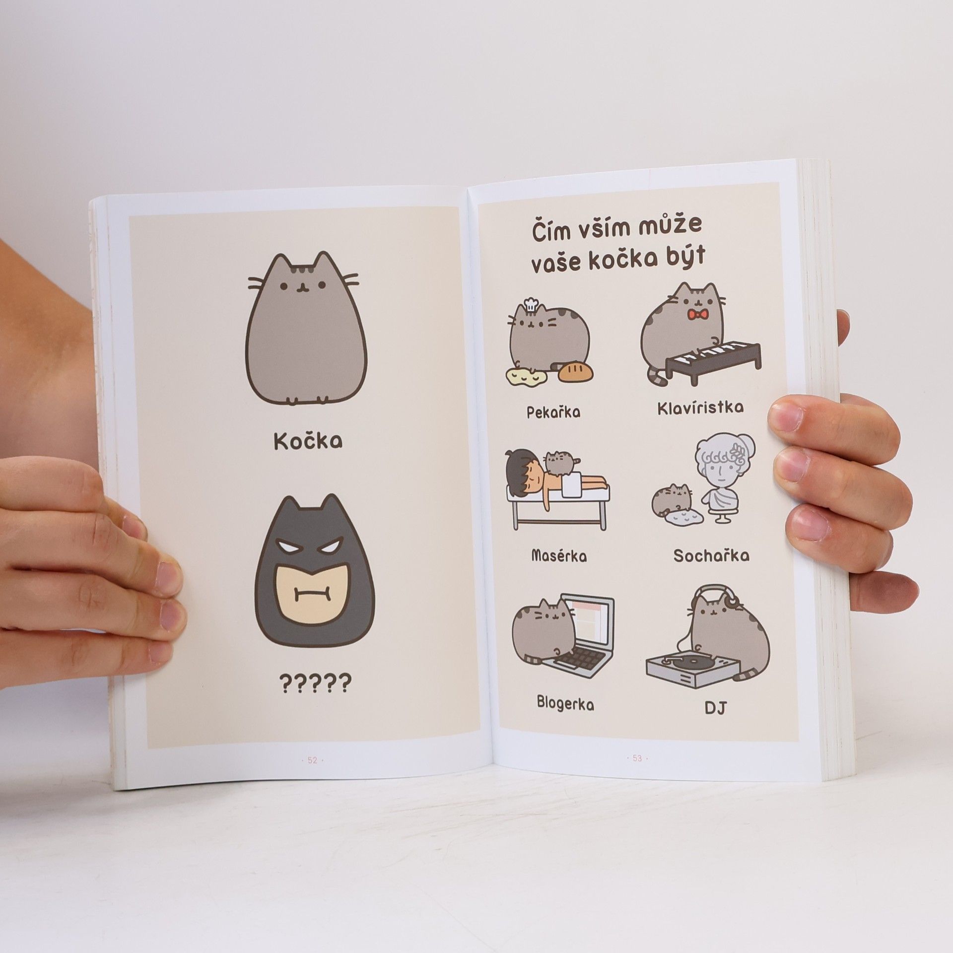 Claire Belton Pusheen. Já, košišta