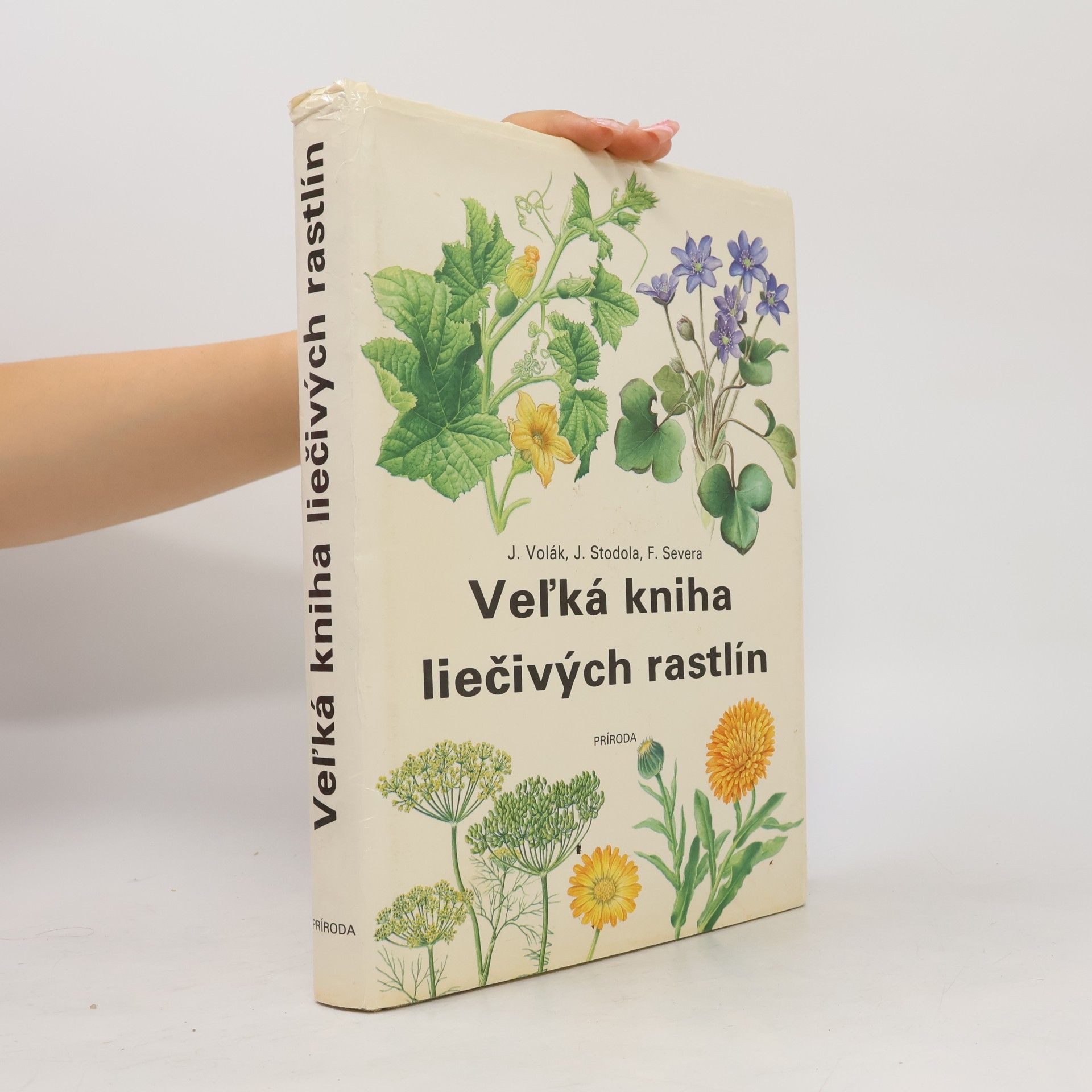 Veľká kniha liečivých rastlín