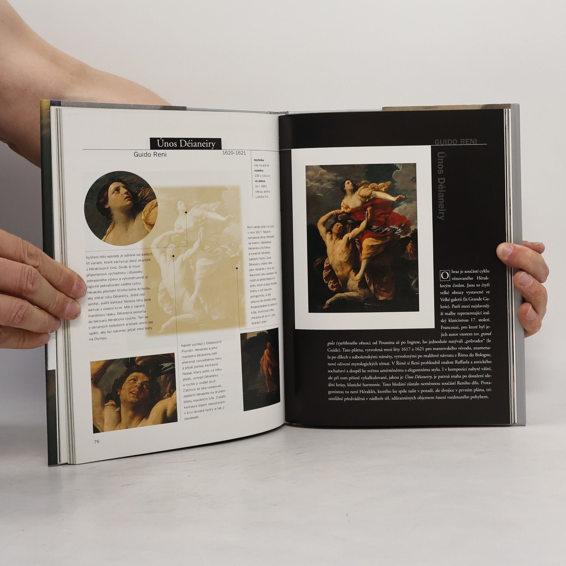 Alessandra Fregolent Slavné galerie světa. Louvre - Paříž