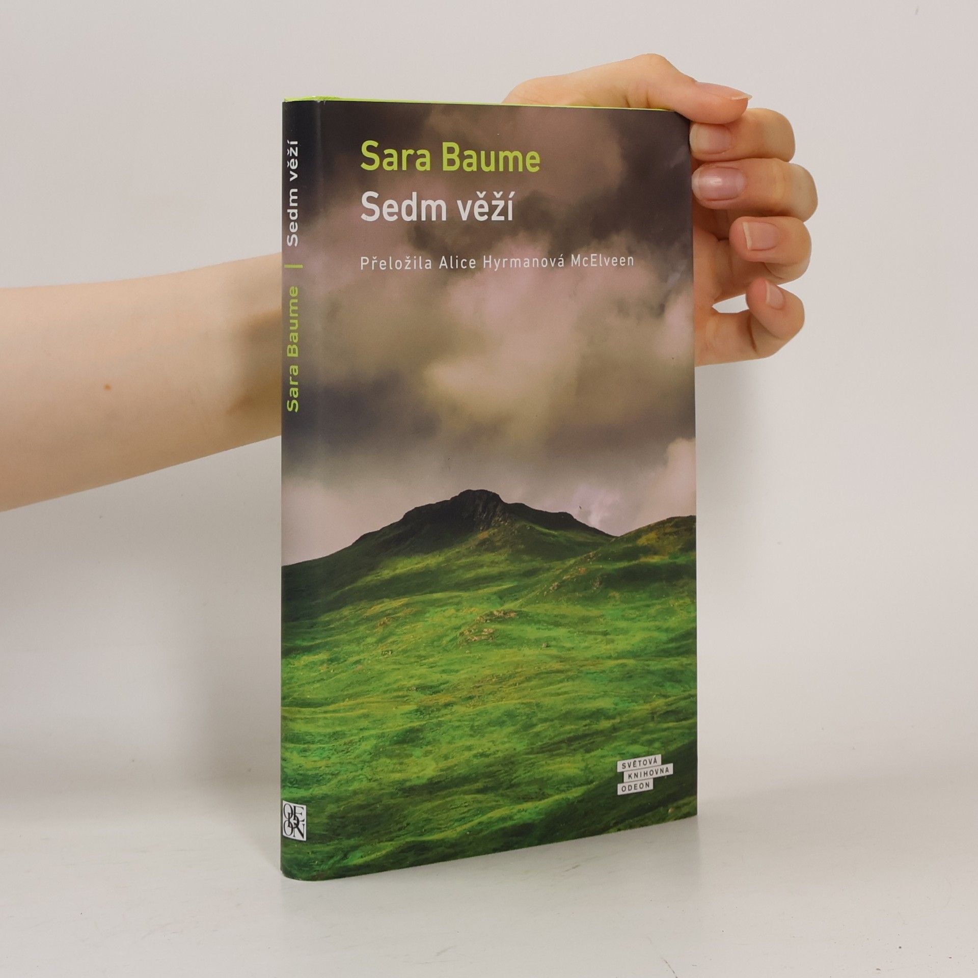 Sara Baume Sedm věží