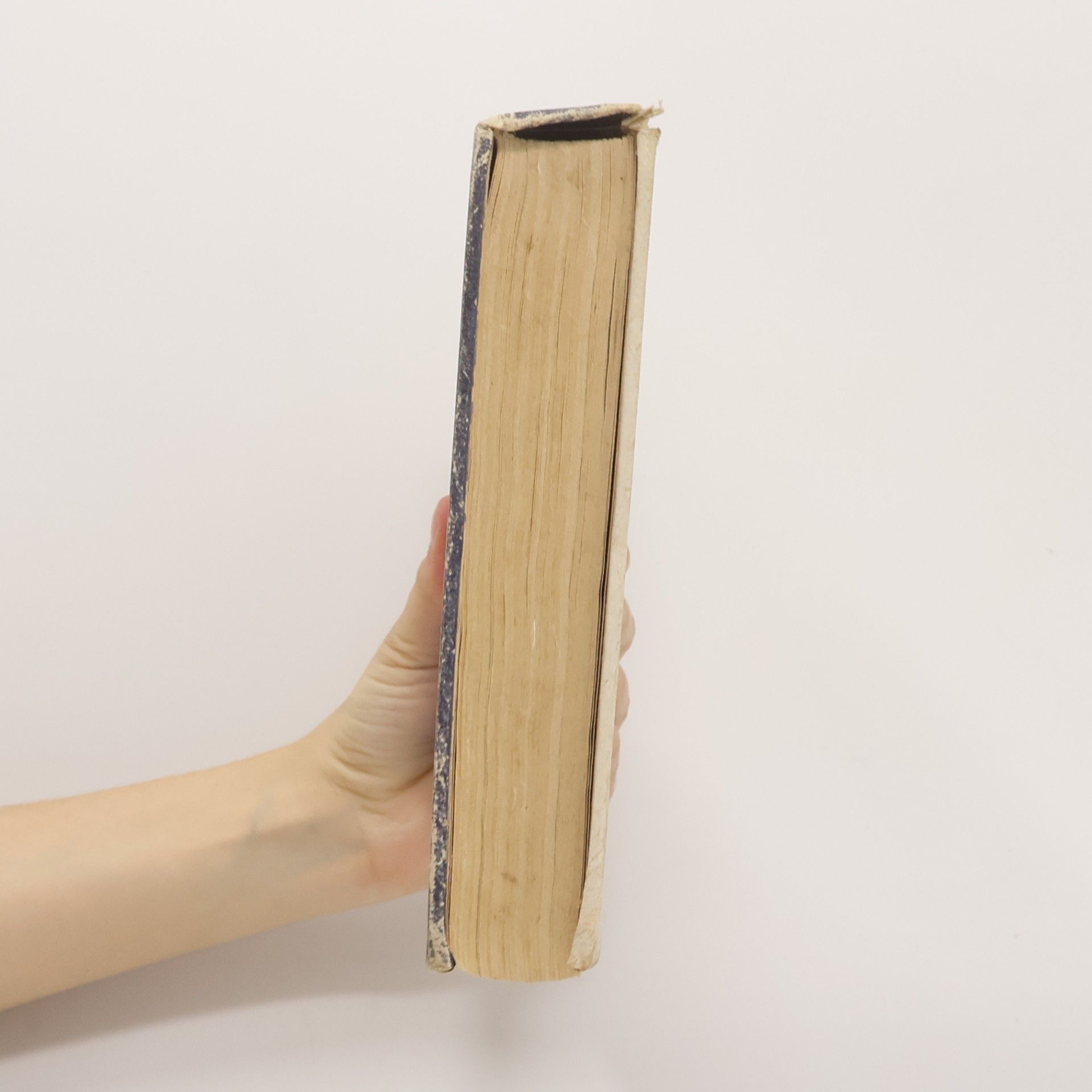 Antonín Dvořák Atlas odrůd ovoce