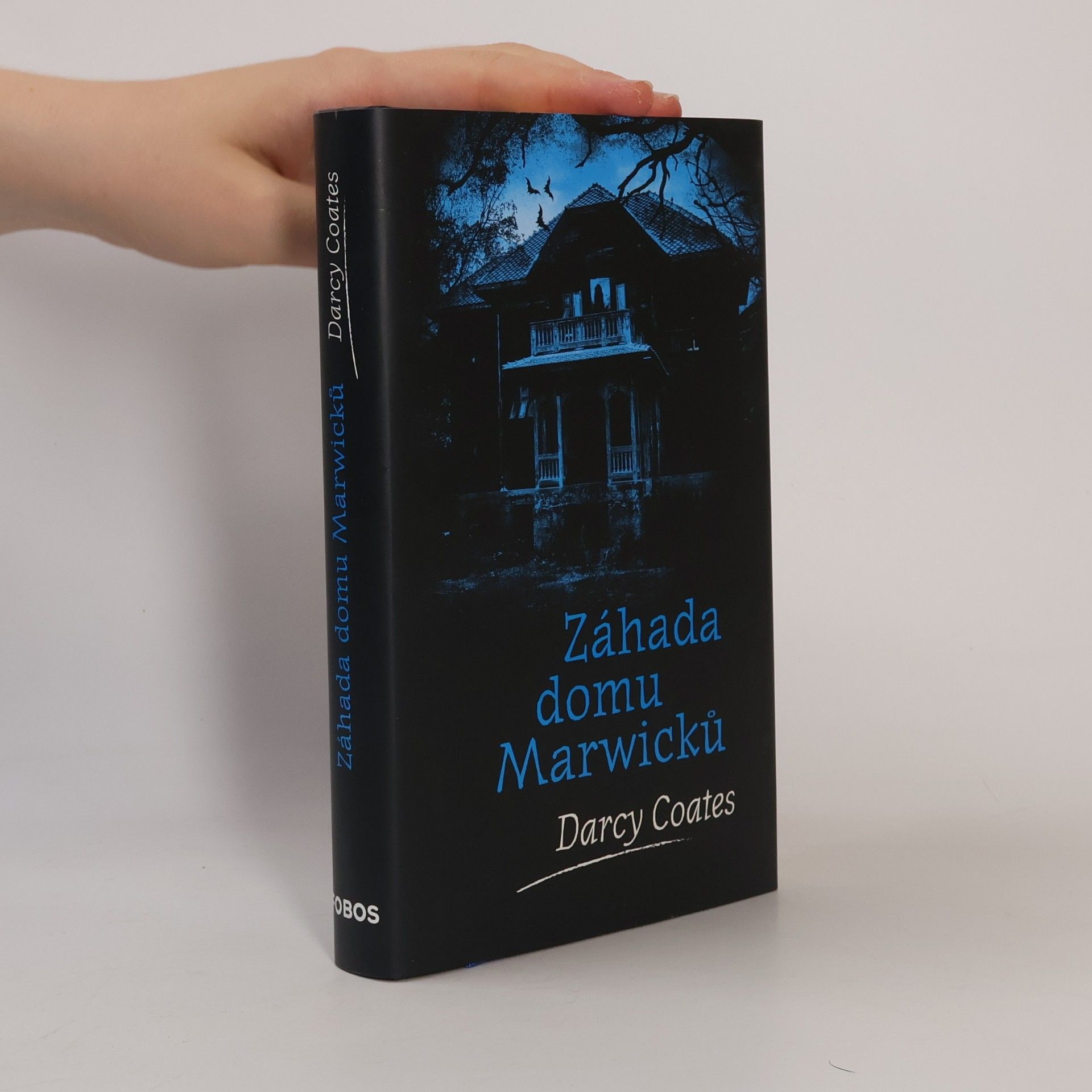 Darcy Coates Záhada domu Marwicků