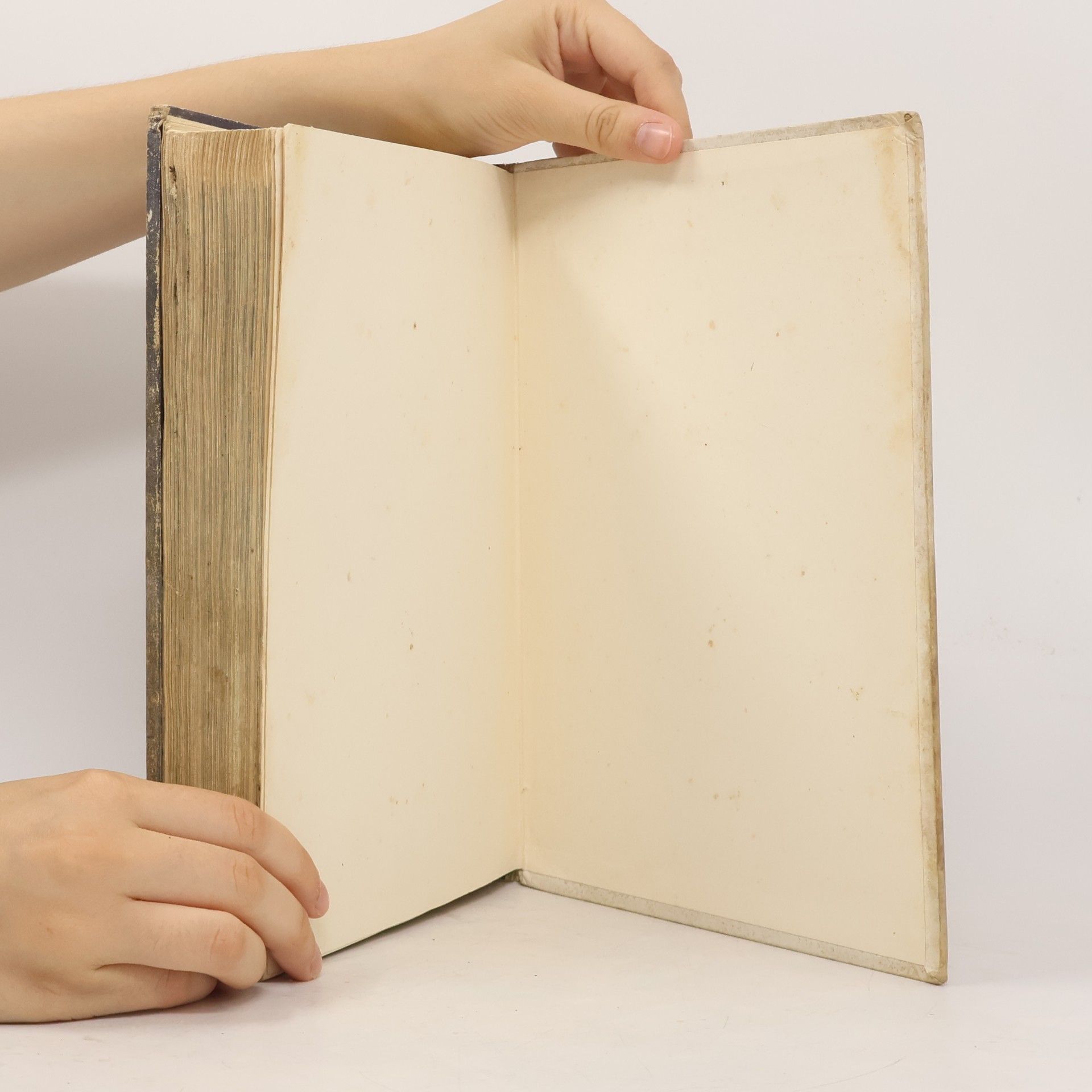 Antonín Dvořák Atlas odrůd ovoce