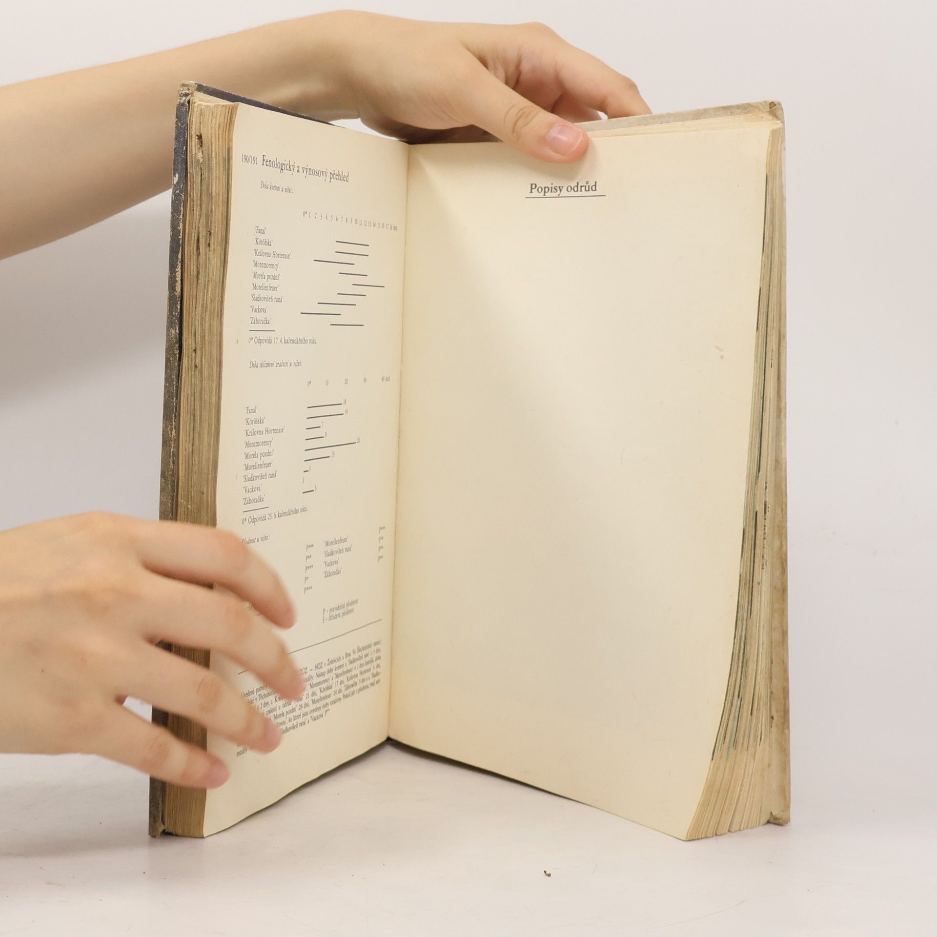 Antonín Dvořák Atlas odrůd ovoce