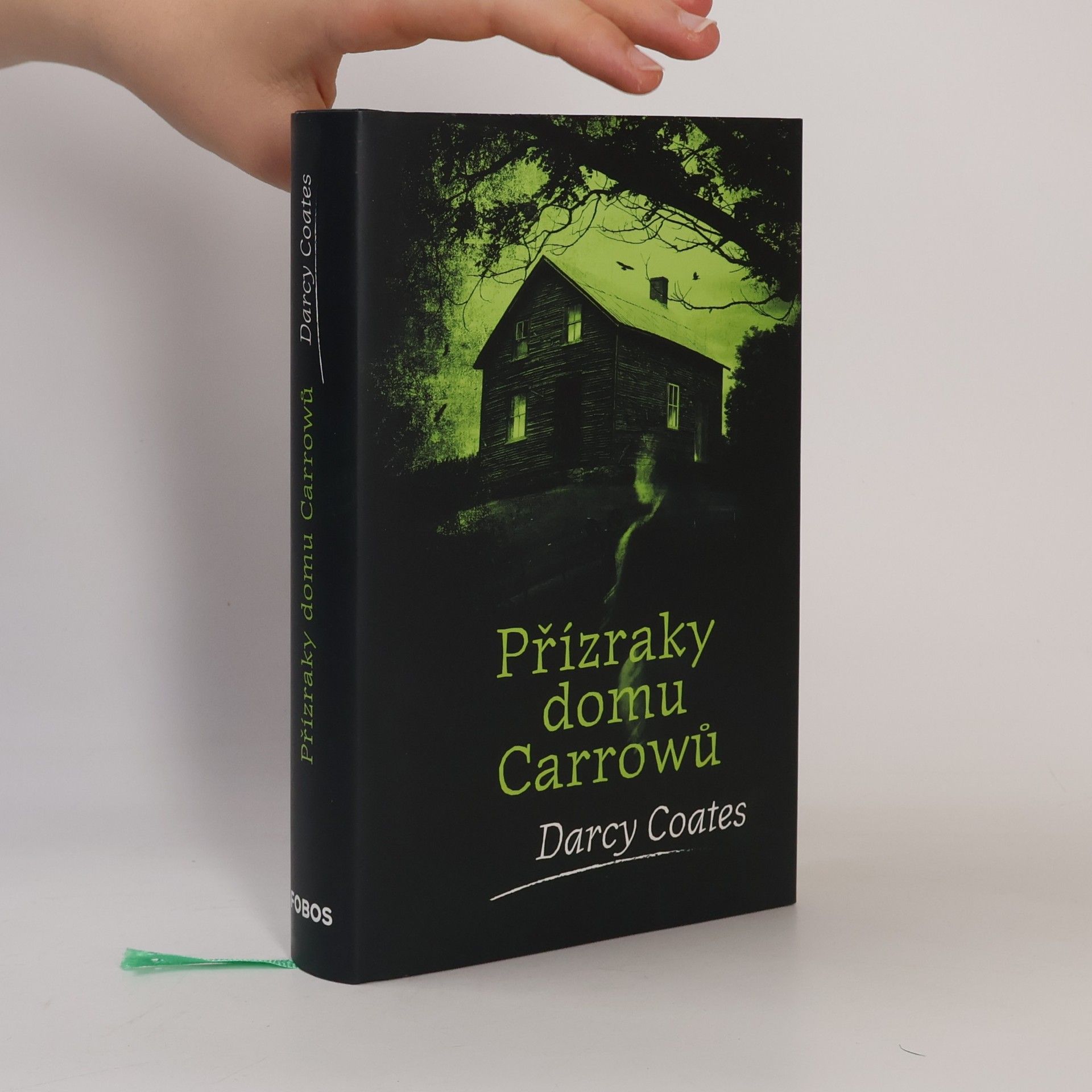 Darcy Coates Přízraky domu Carrowů