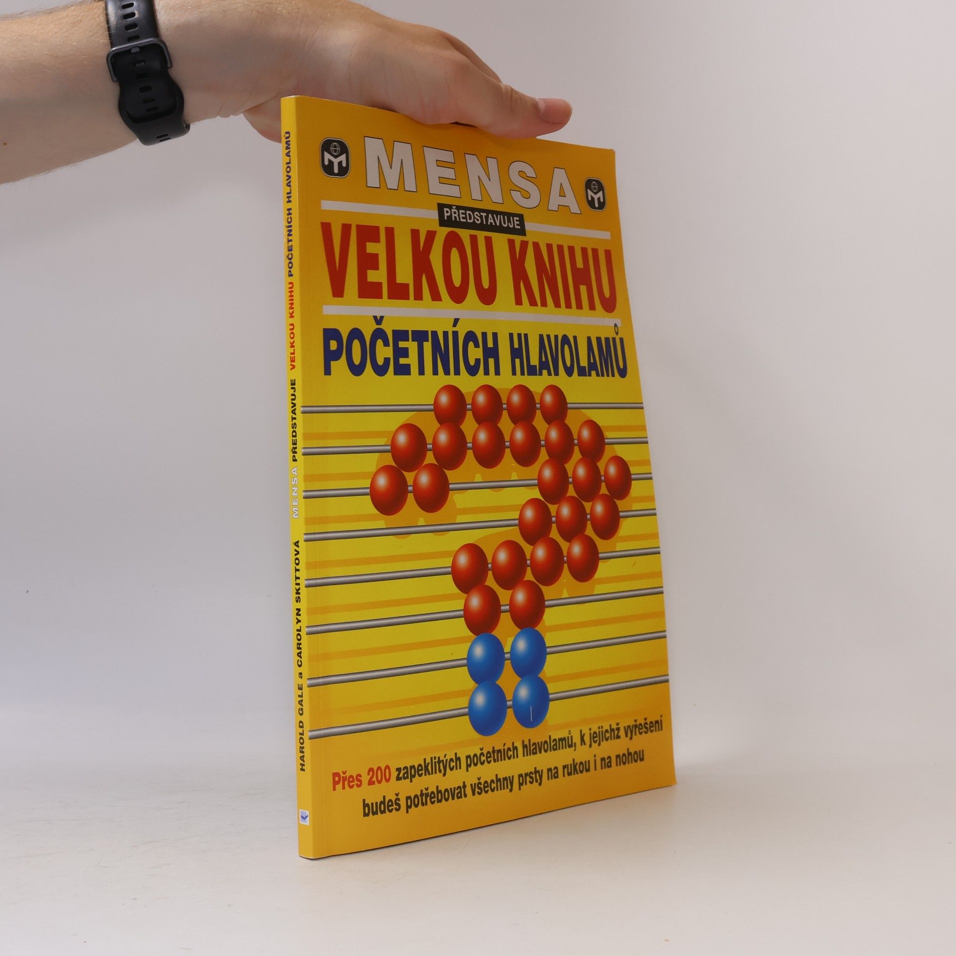 Velká kniha početních hlavolamů
