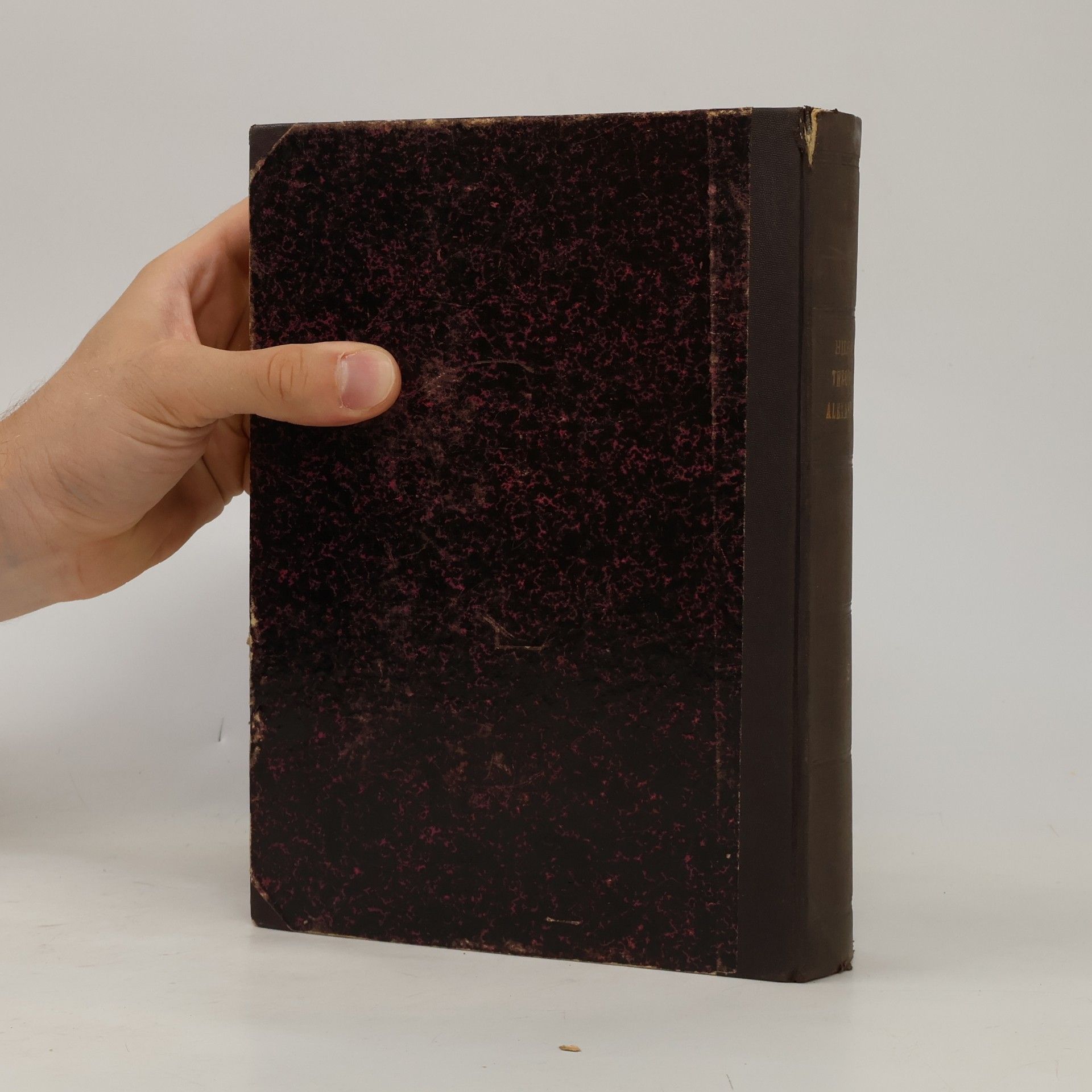 Collectif d'auteurs Theodosii Alexandrini Canones. Georgii Choerobosci Scholia
