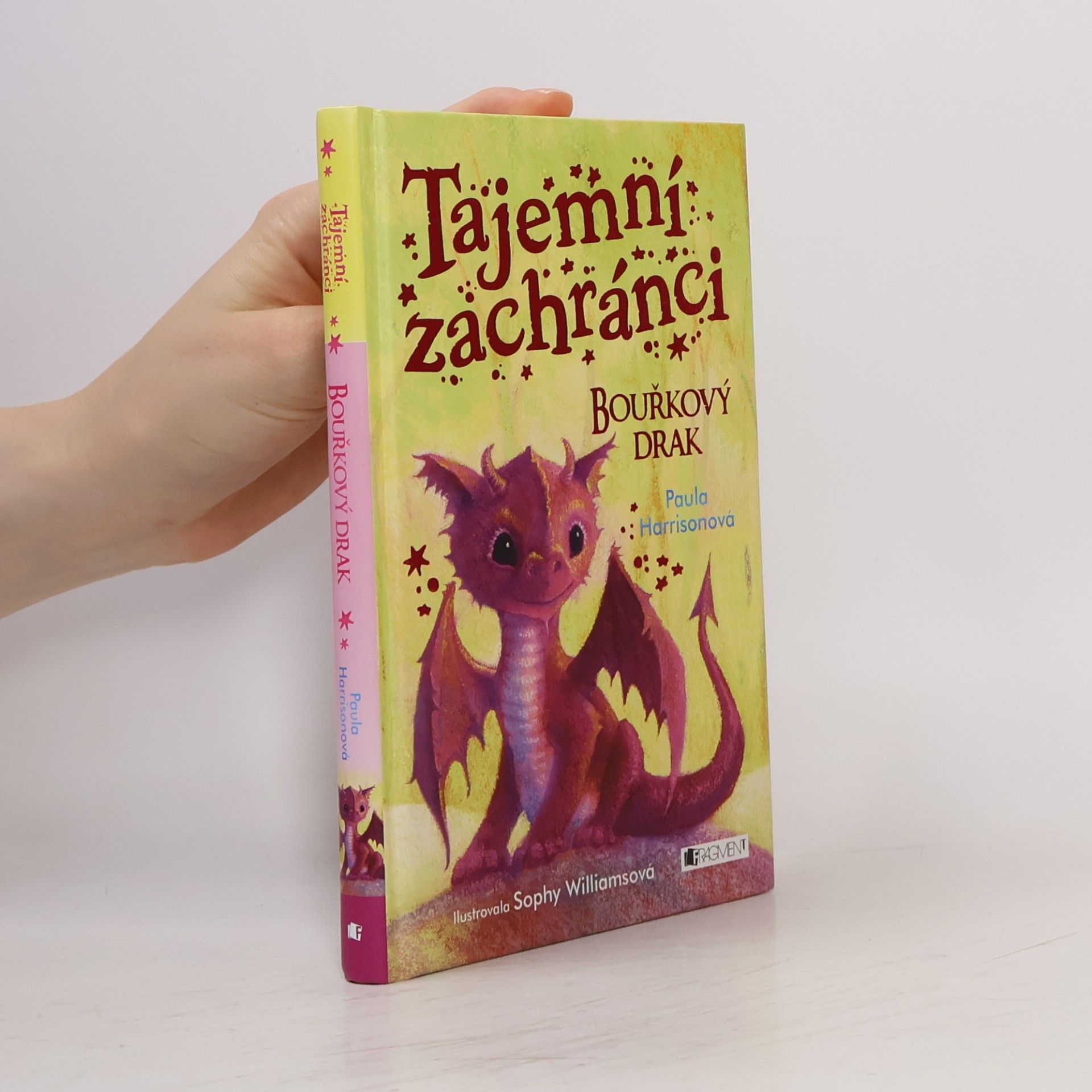 Paula Harrison Tajemní zachránci - Bouřkový drak