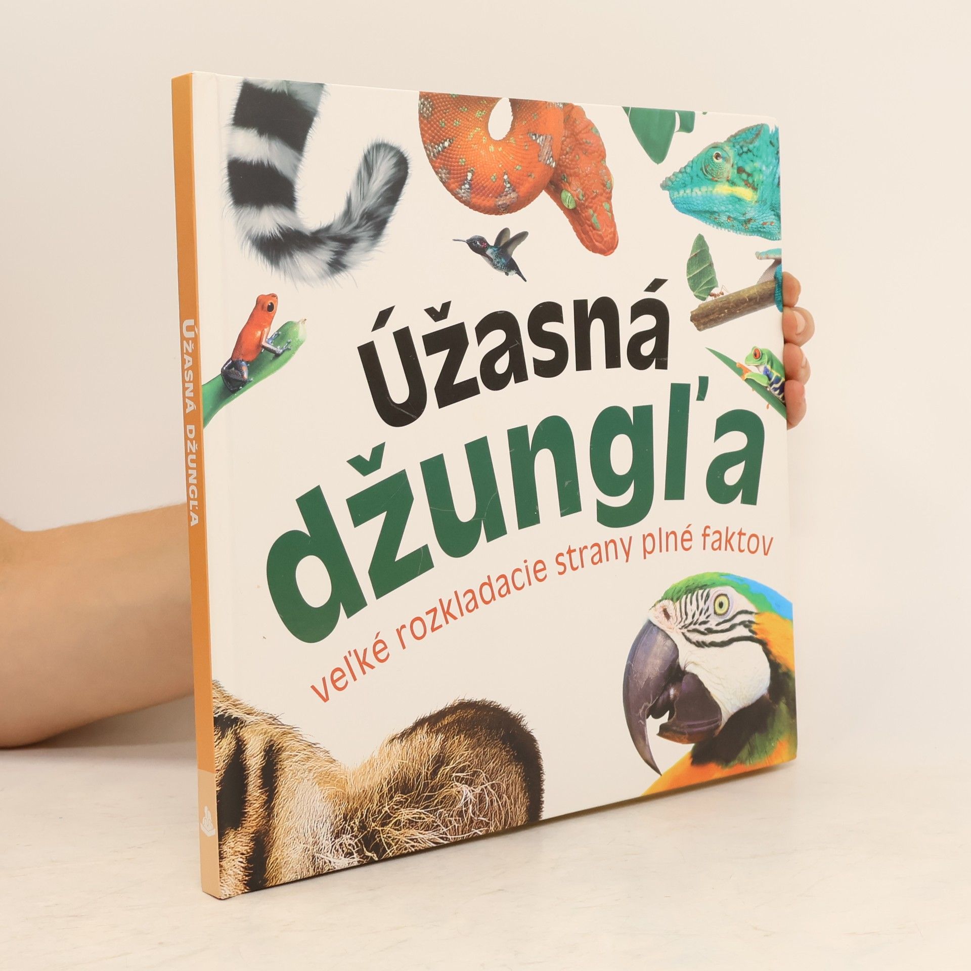Autorenkollektiv Úžasná džungľa : veľké rozkladacie strany plné faktov