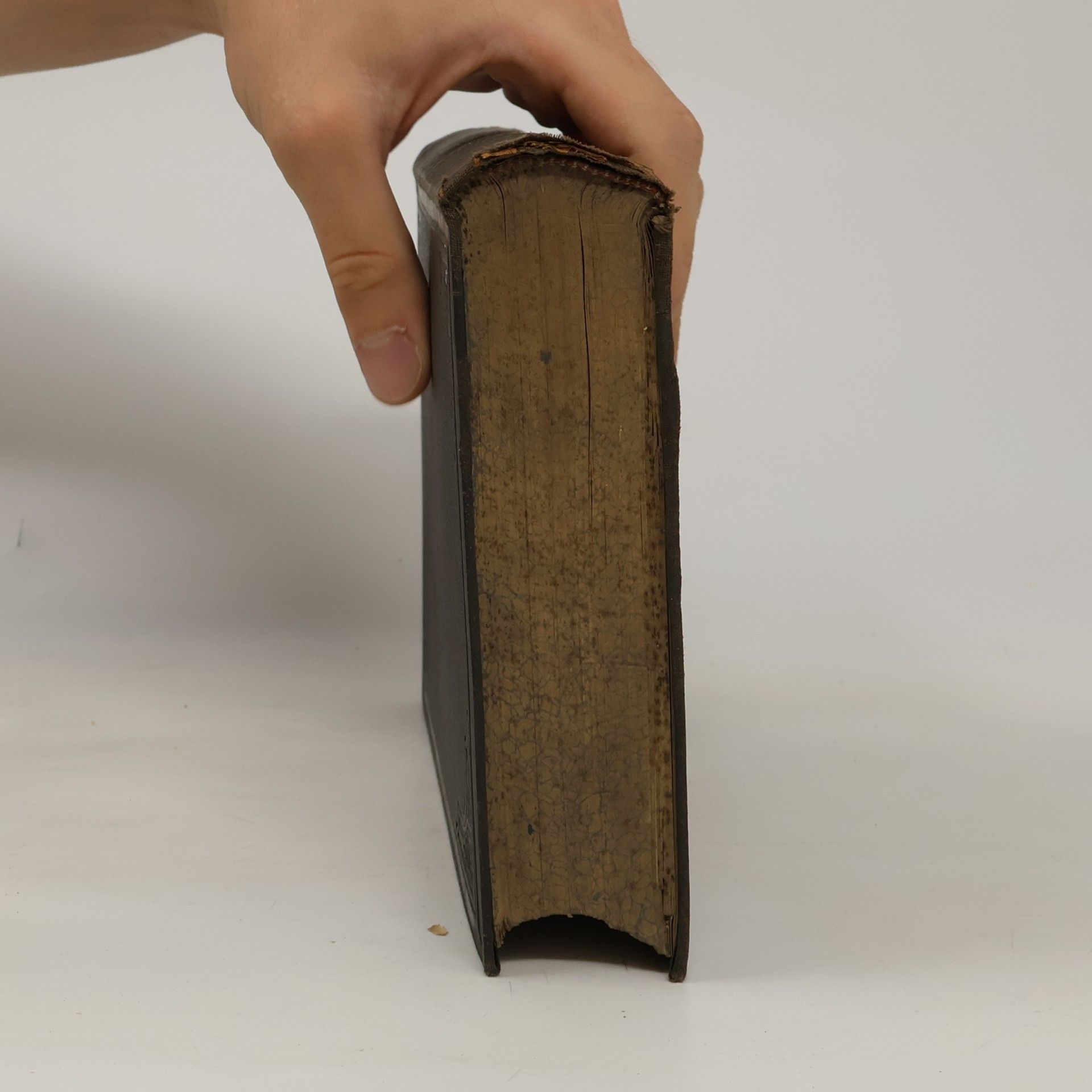 Ferdinand von Attlmayr Handbuch der Oceanographie. Band I.