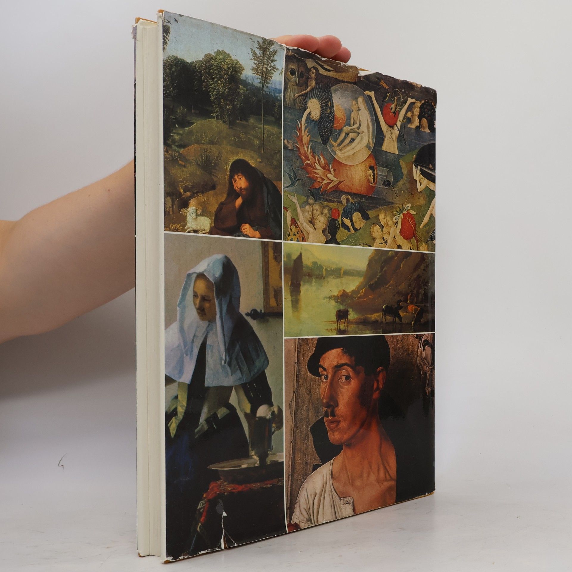 Onno ter Kuile 500 jaar Nederlandse Schilderkunst