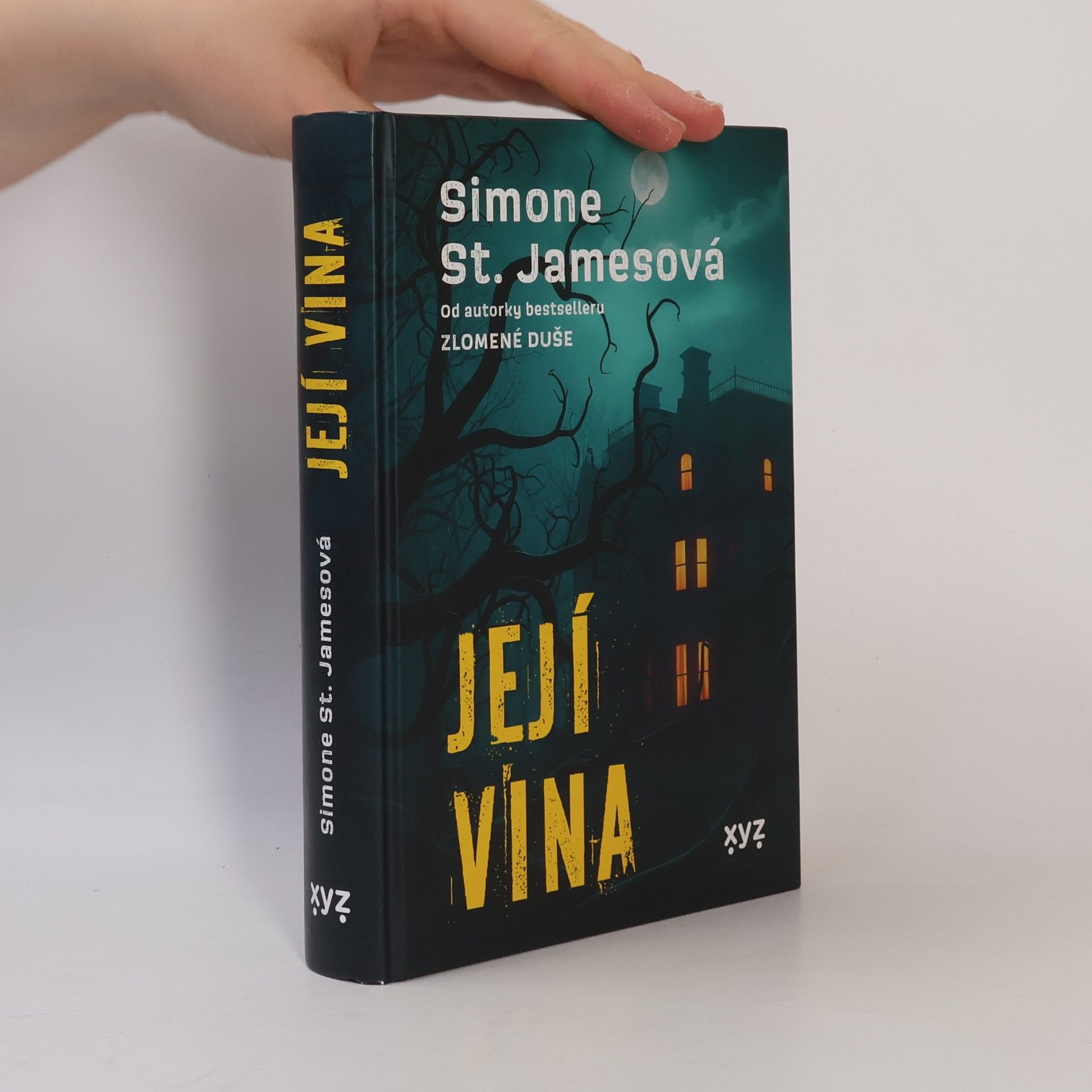 Simone St. James Její vina