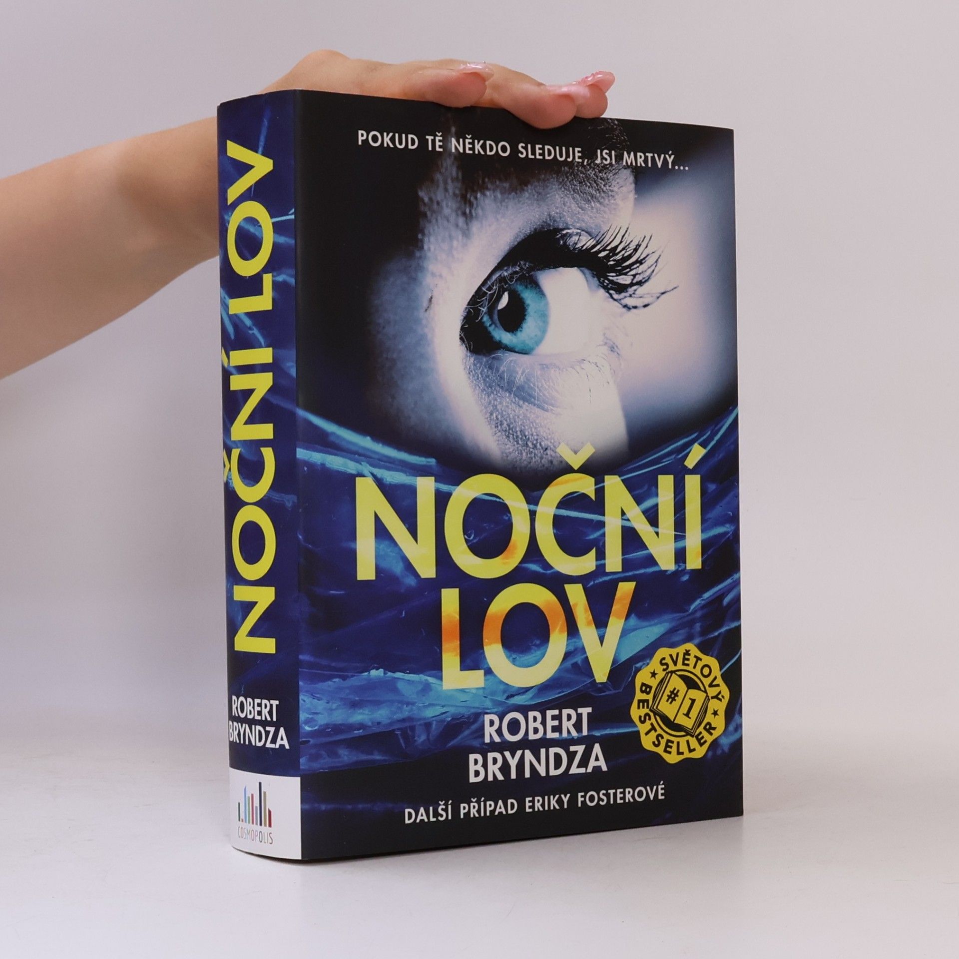 Robert Bryndza Noční lov