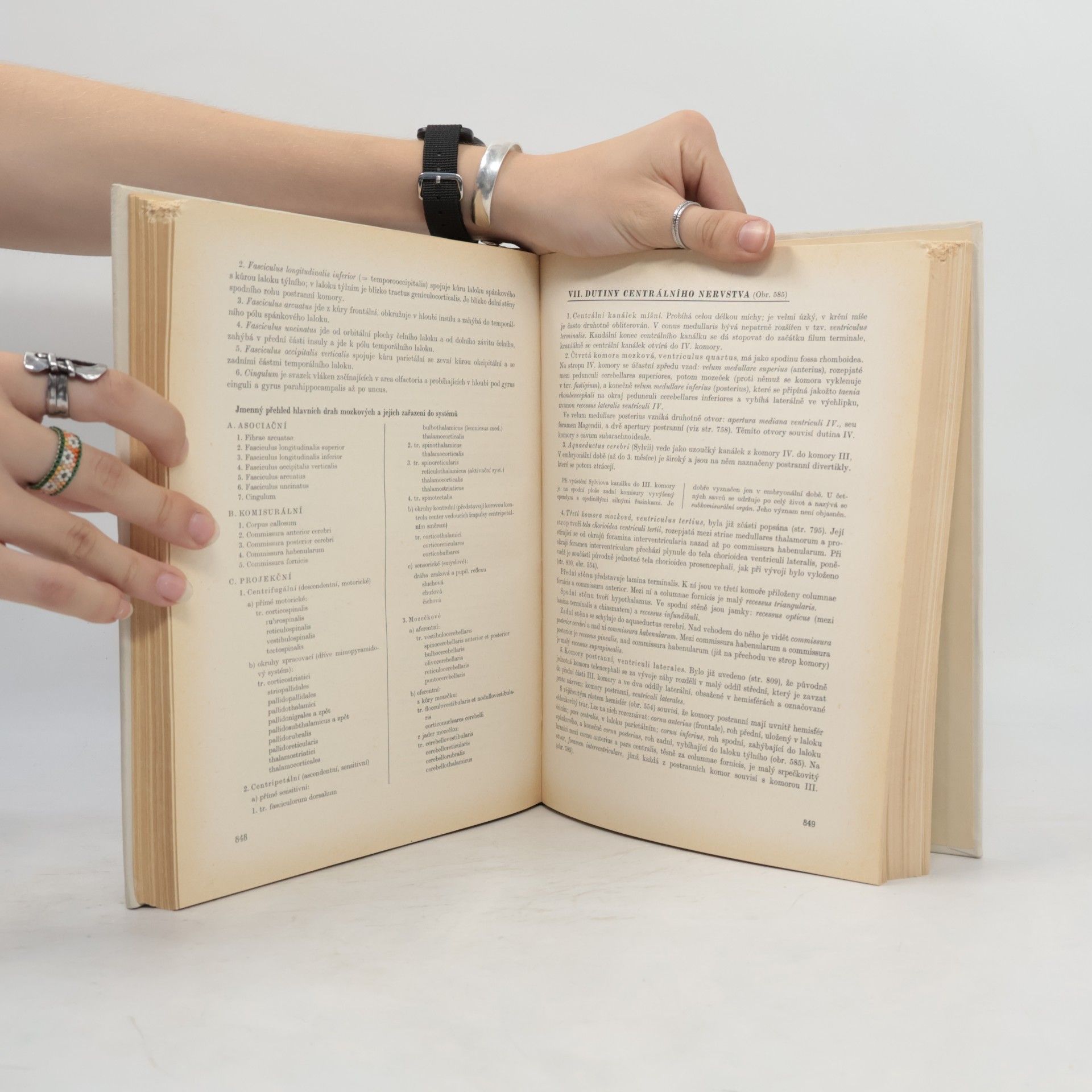 Ladislav Borovanský Soustavná anatomie člověka II