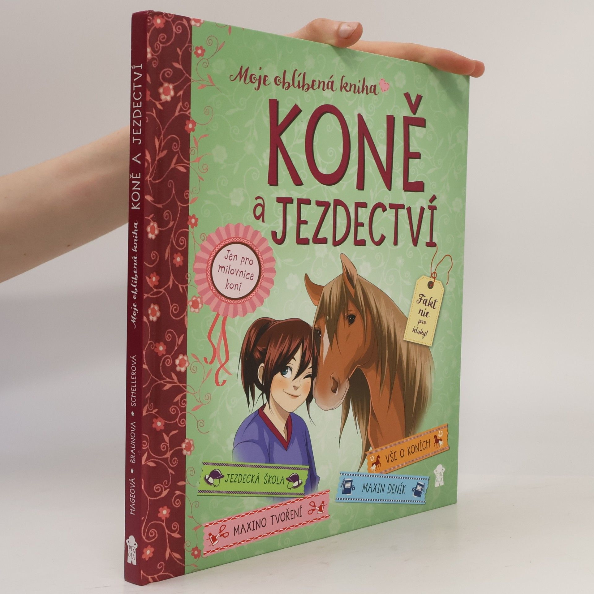 Gudrun Braun Koně a jezdectví - Moje oblíbená kniha