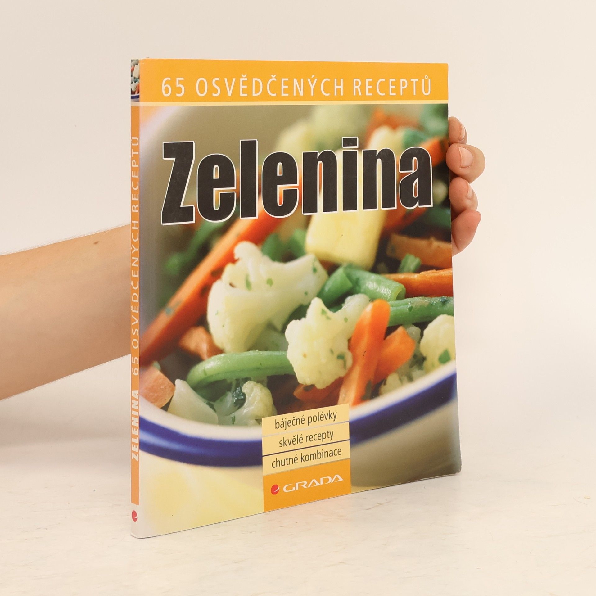 Autorenkollektiv Zelenina 65 osvědčených receptů