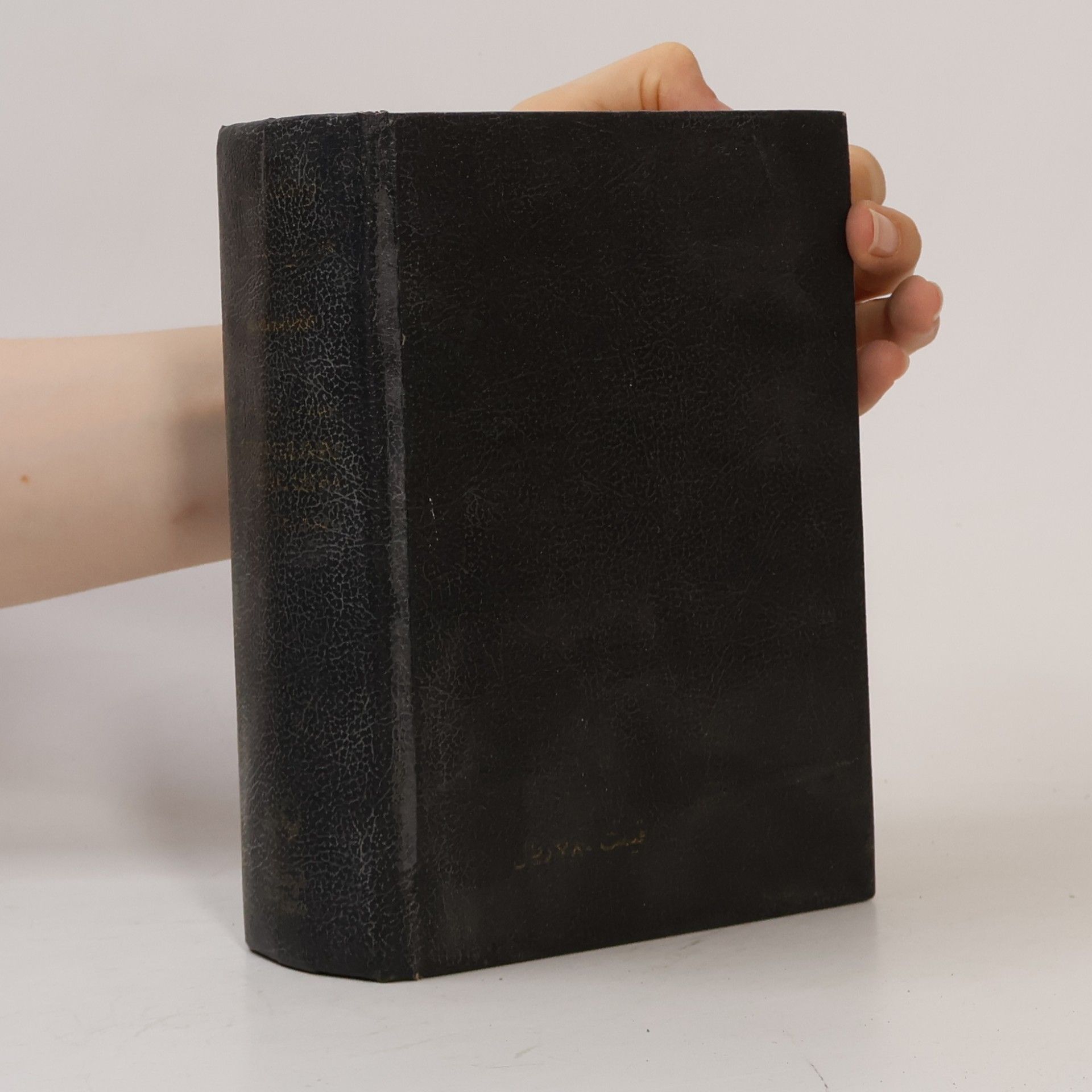 S. Haim The Shorter Persian-English Dictionary