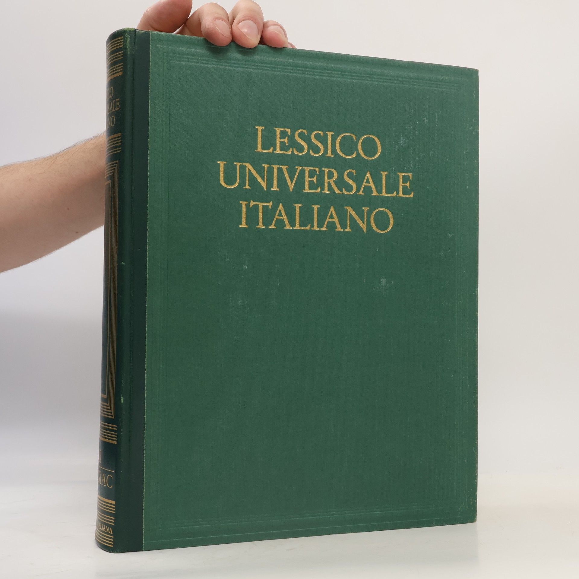 Autorenkollektiv Lessico universale italiano VIII. Fio-Giac