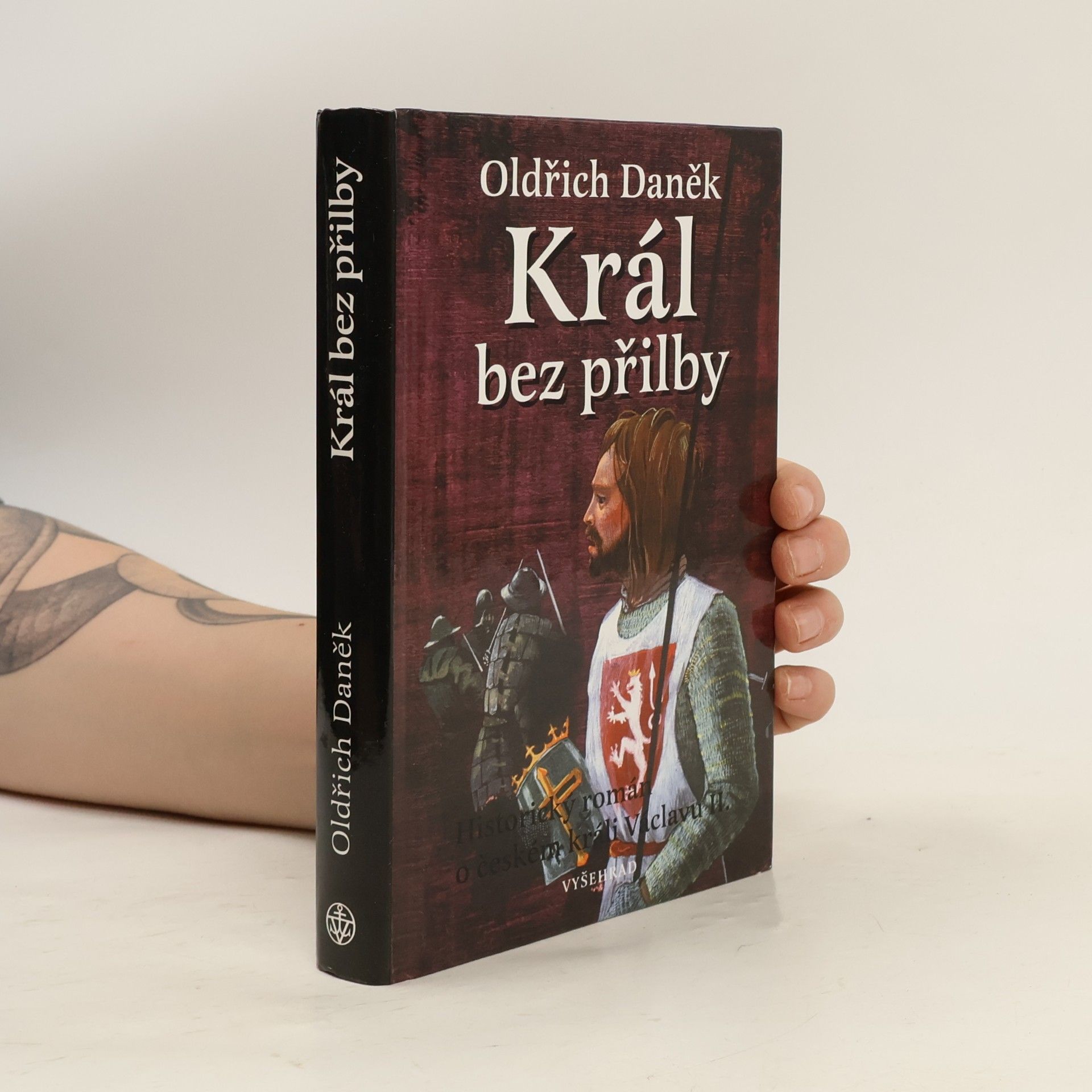 Přemyslovsko-lucemburská trilogie. 1. díl. Král bez přilby