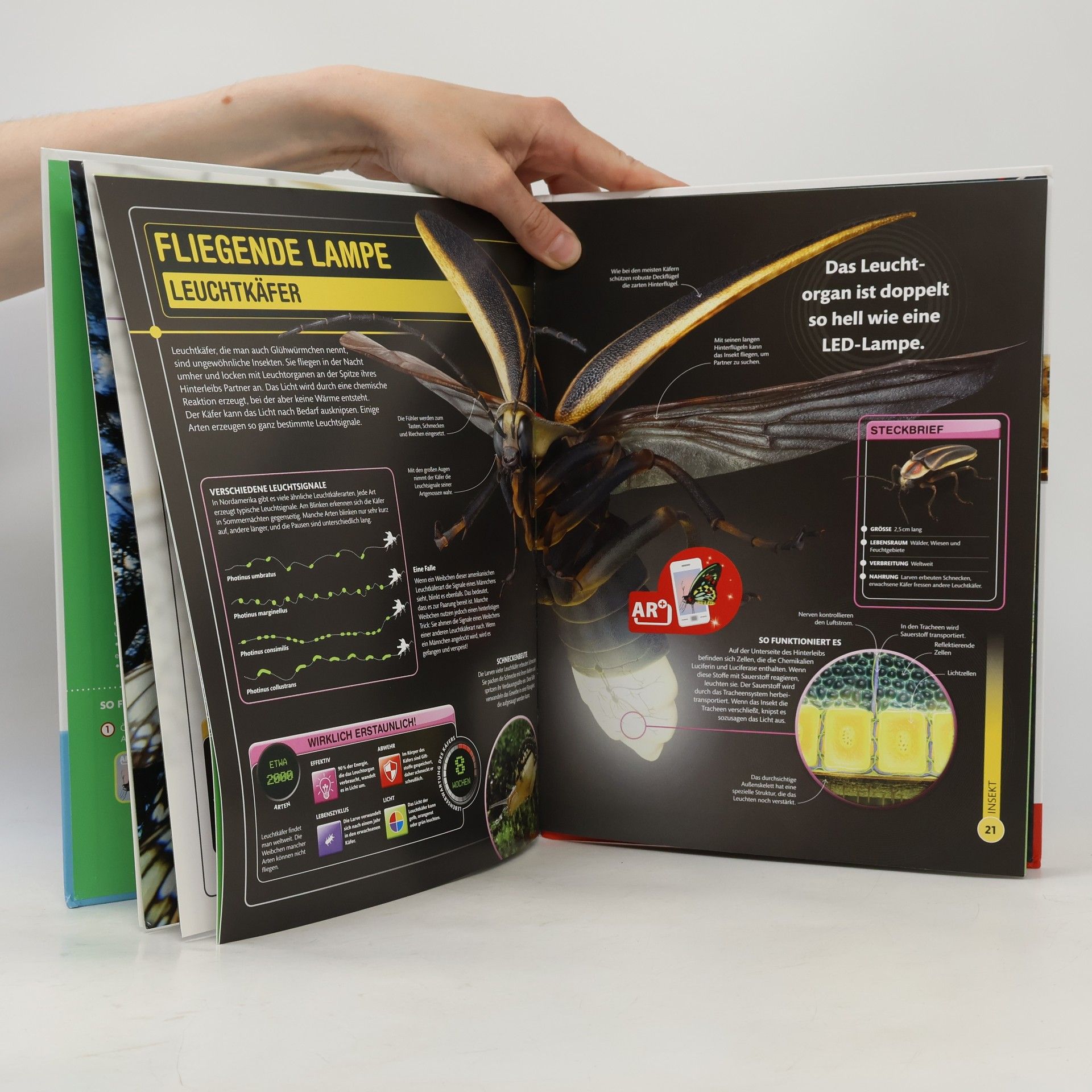 Autores varios Super Insekten