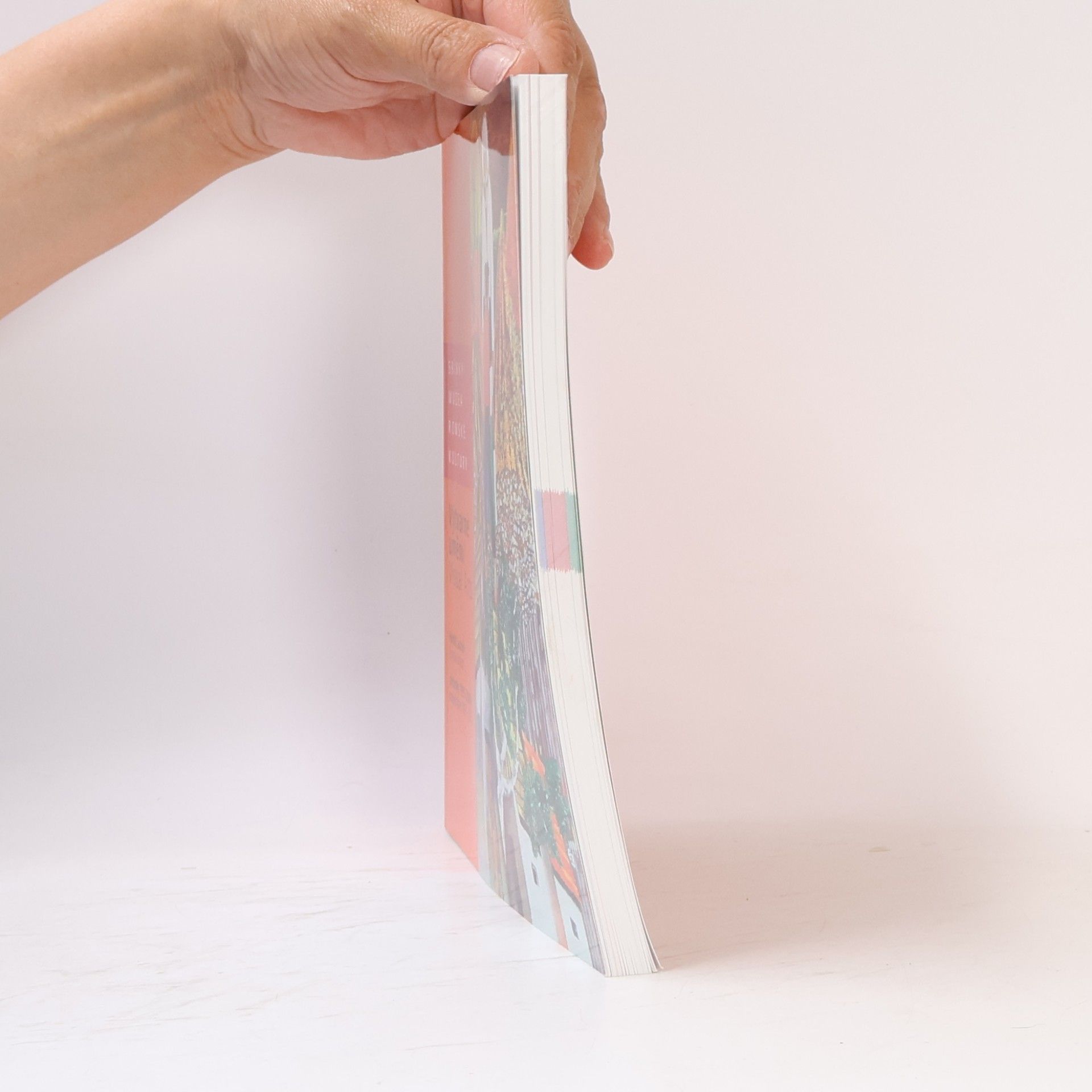 Autorenkollektiv Výtvarné umění. Visual Arts