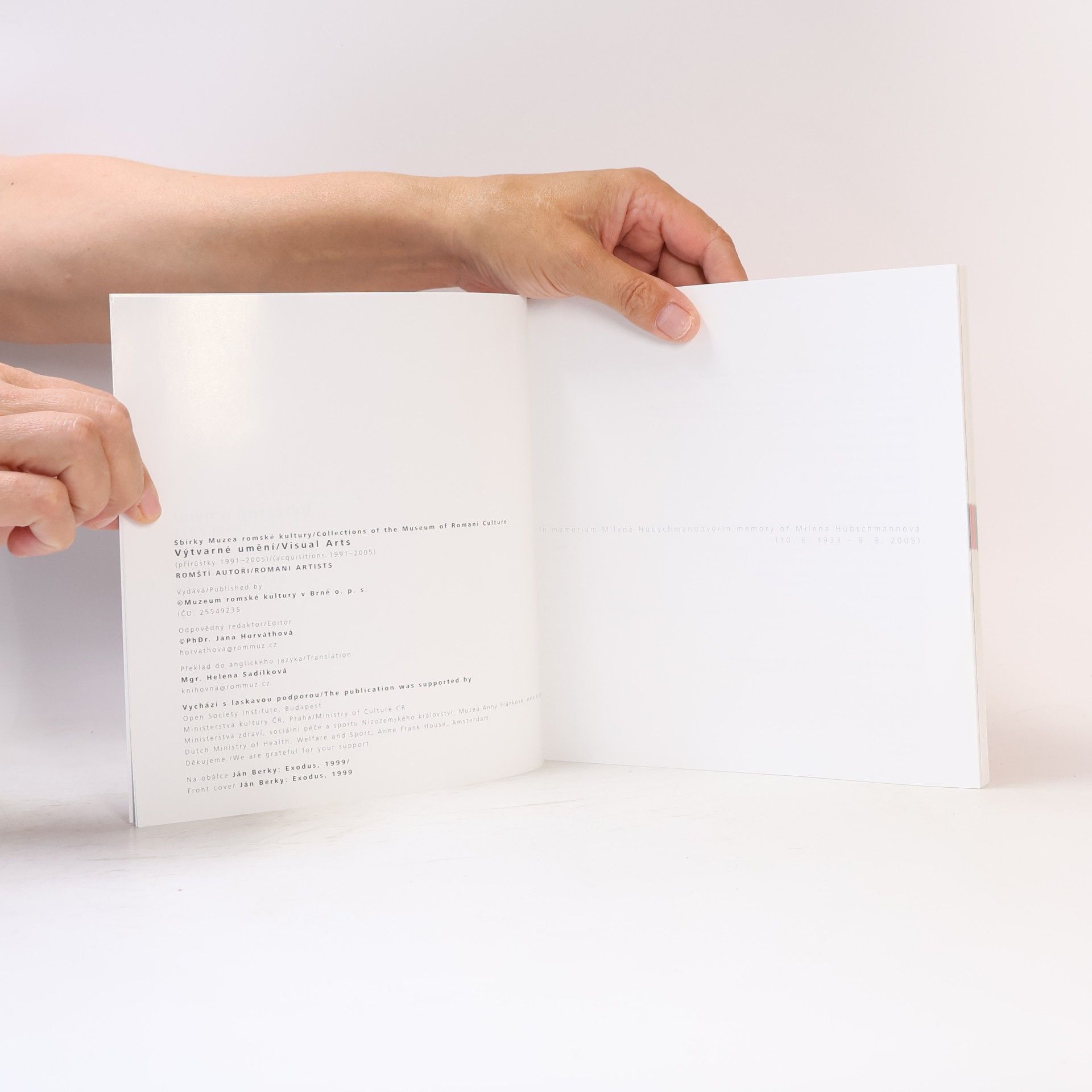 Autorenkollektiv Výtvarné umění. Visual Arts