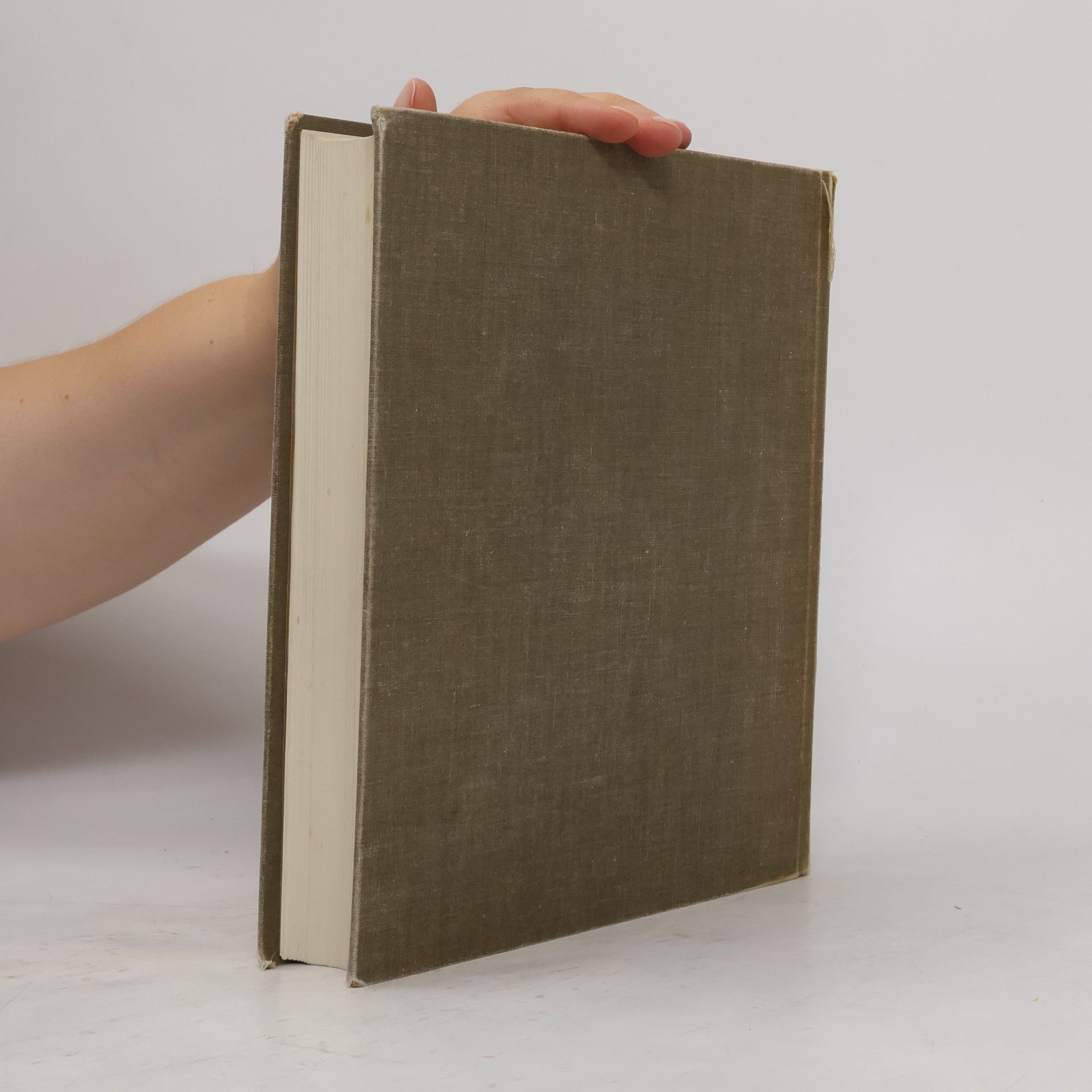 Karel van Mander the Elder Het Schilderboek