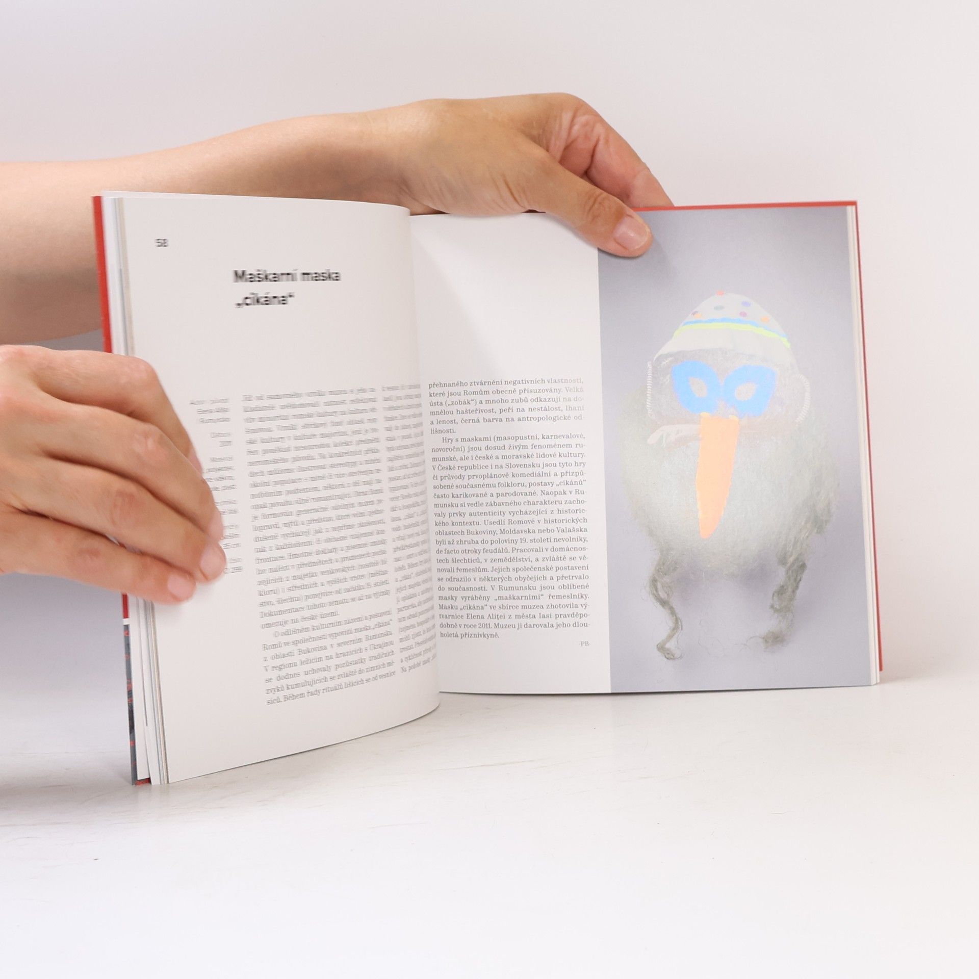 Autorenkollektiv Sbírka Muzea romské kultury : výběr kurátorů