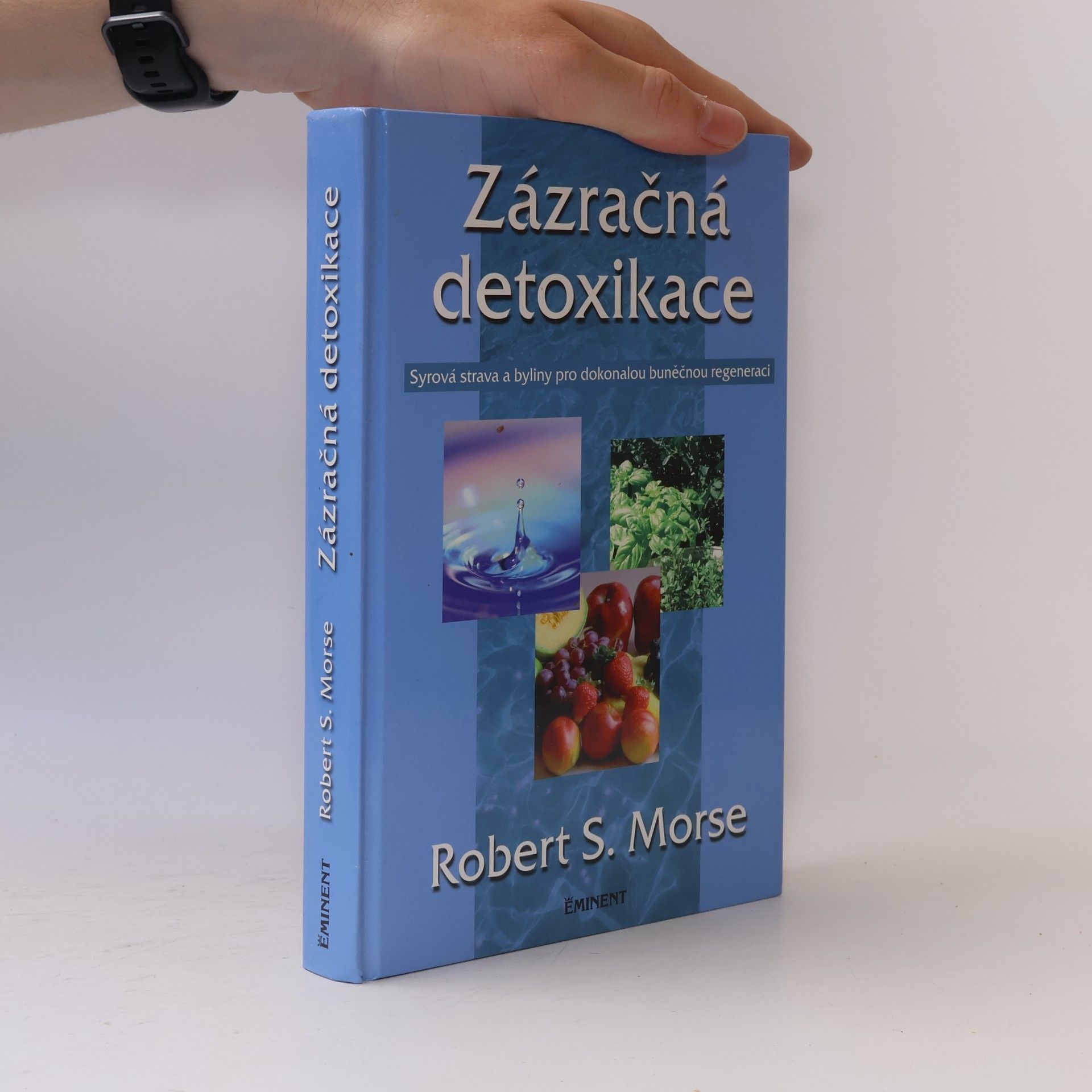 Robert Morse Zázračná detoxikace